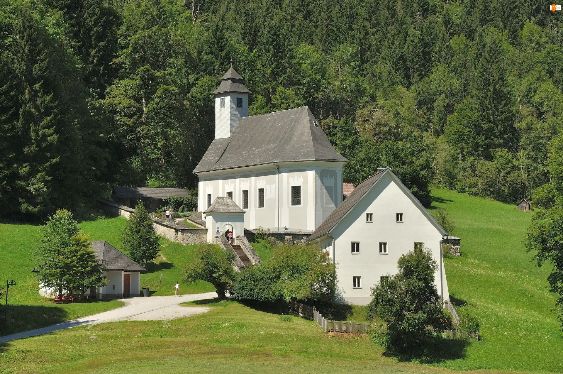 Drzewa, Austria, Trawa, Kościółek, Johnsbach