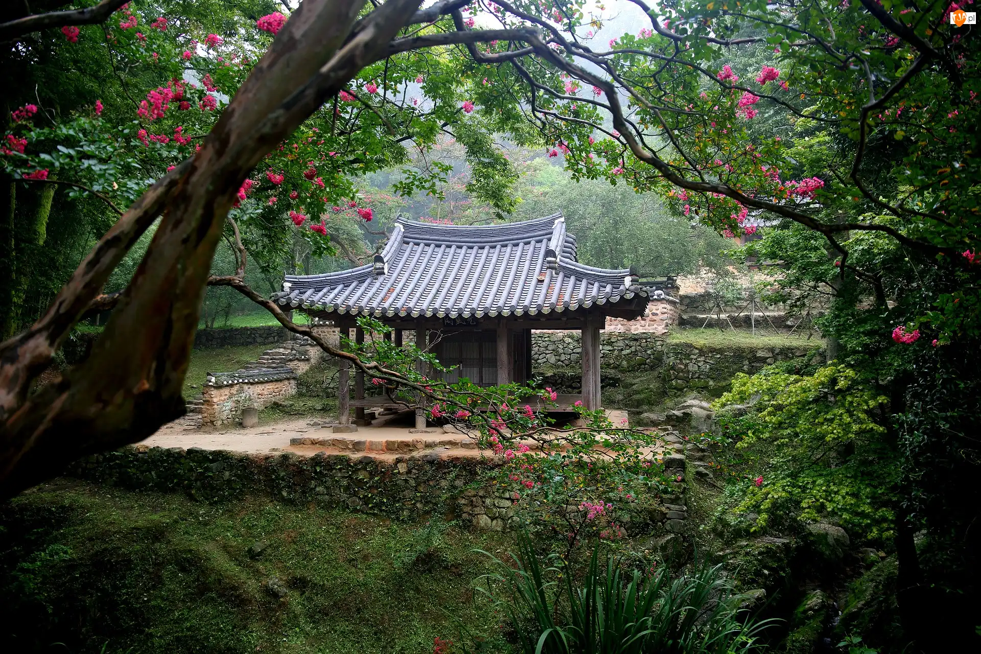 Soswaewon Garden, Korea Południowa, Ogród, Altana, Damyang