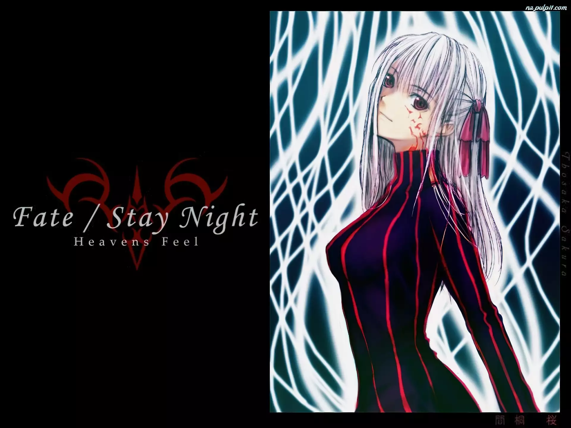 dziewczyna, profil, Fate Stay Night, napis