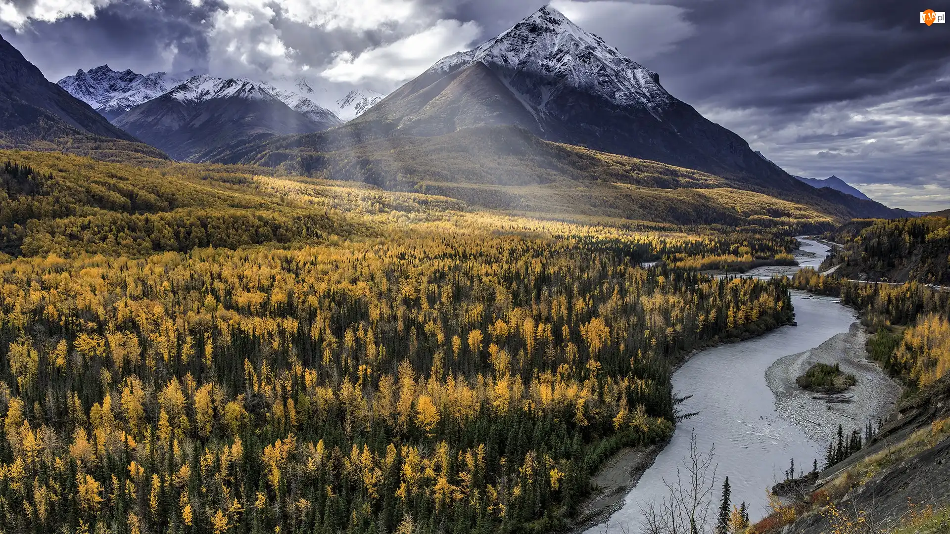 Stany Zjednoczone, Góry, Alaska, Drzewa, Modrzew, Rzeka, Matanuska River, Jesień, Żółte