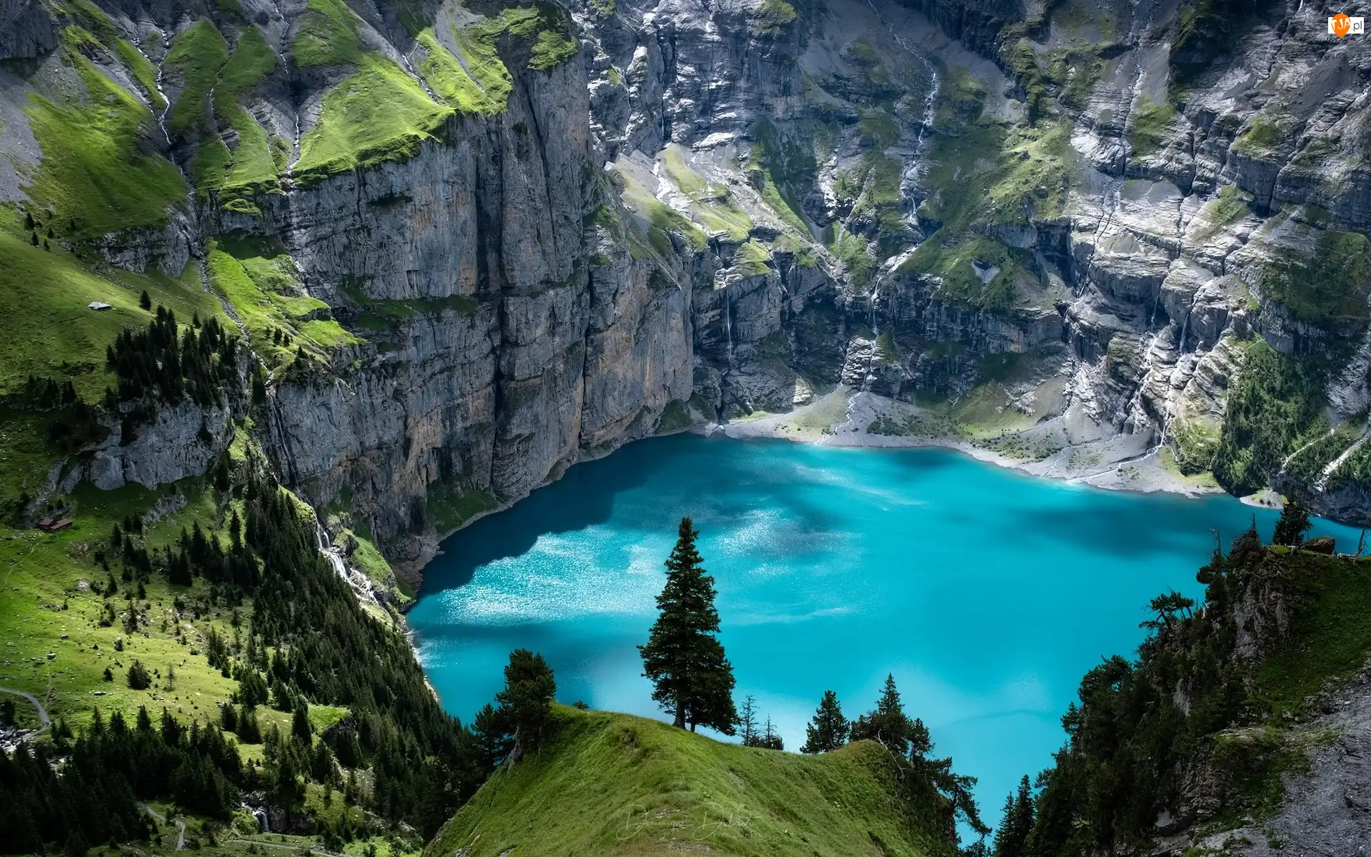 Góry, Szwajcaria, Jezioro, Drzewa, Skały, Oeschinensee