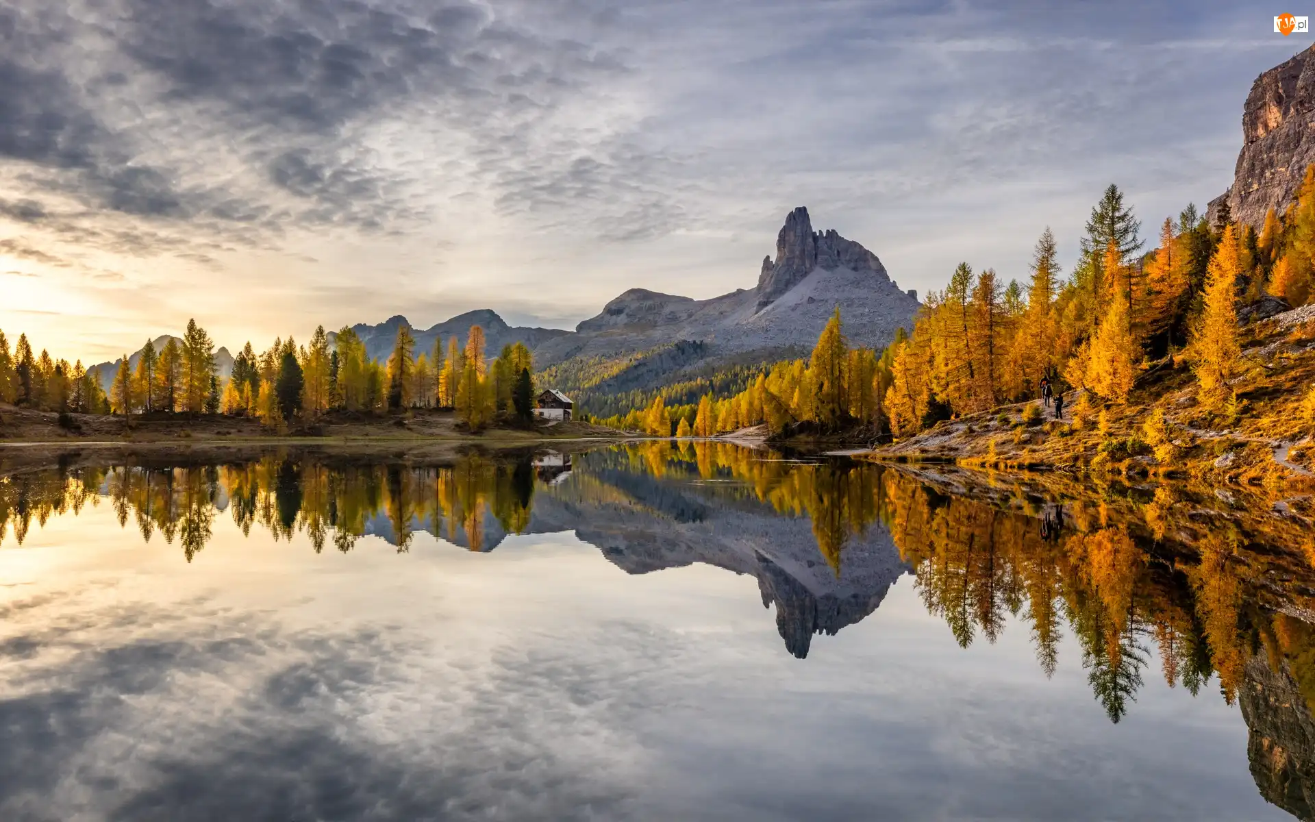 Dolomity, Drzewa, Schronisko, Jesień, Federa Lake, Prowinca Belluno, Las, Jezioro, Dom, Góry, Włochy