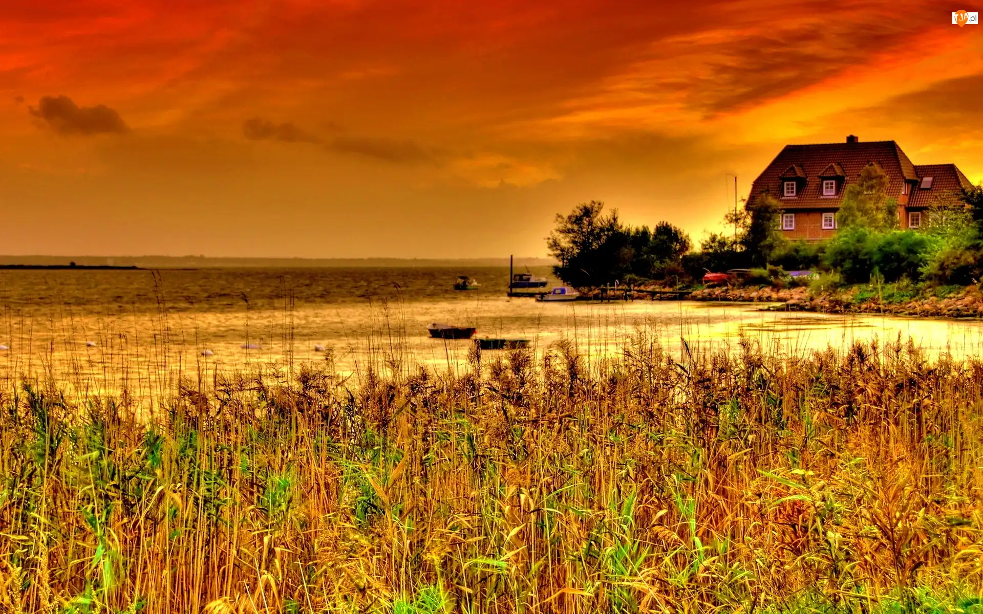 Jezioro, Dom, Słońca, Zachód, Trawa
