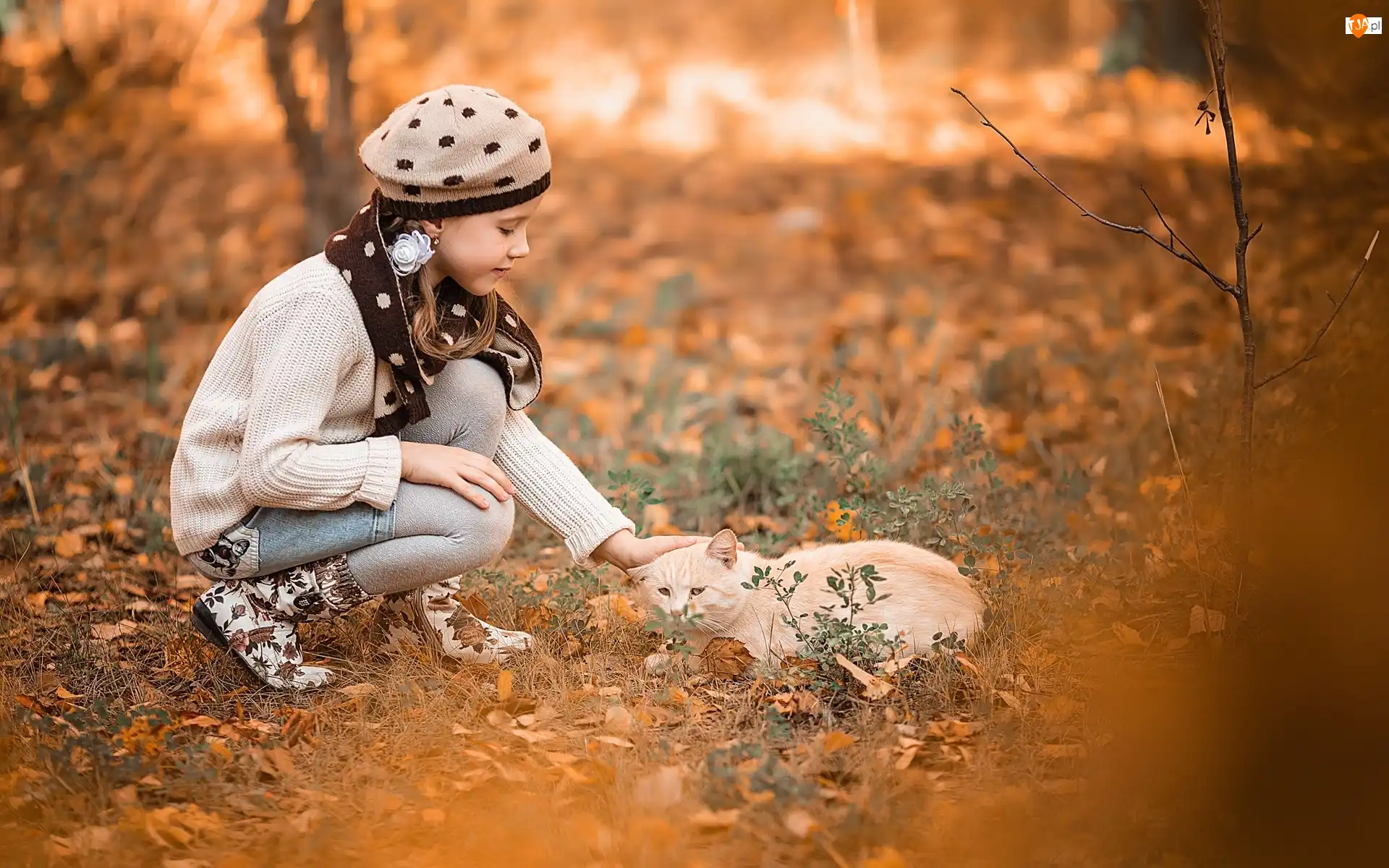 Liście, Dziewczynka, Kot, Jesień