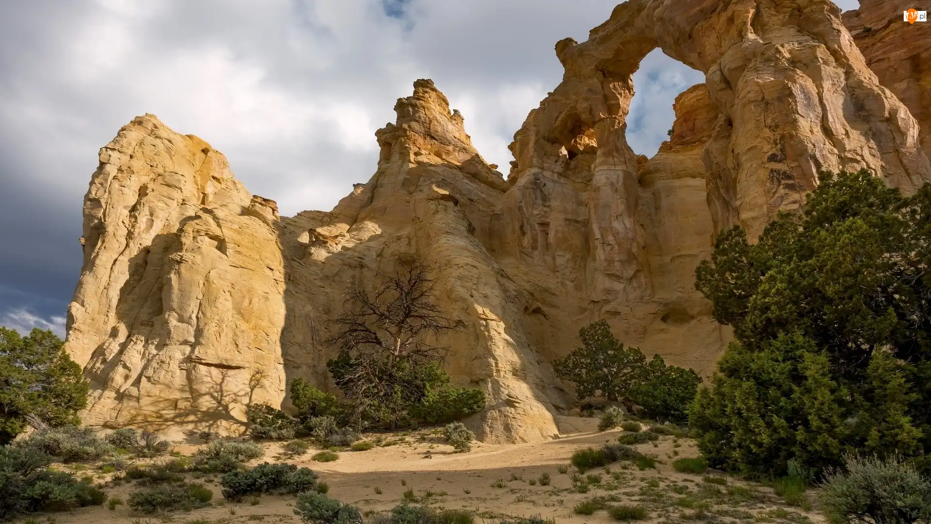 Stan Utah, Pomnik Narodowy Grand Staircase-Escalante National Monument, Rośliny, Stany Zjednoczone, Piaskowiec, Łuk skalny Grosvenor Arch, Hrabstwo Kane
