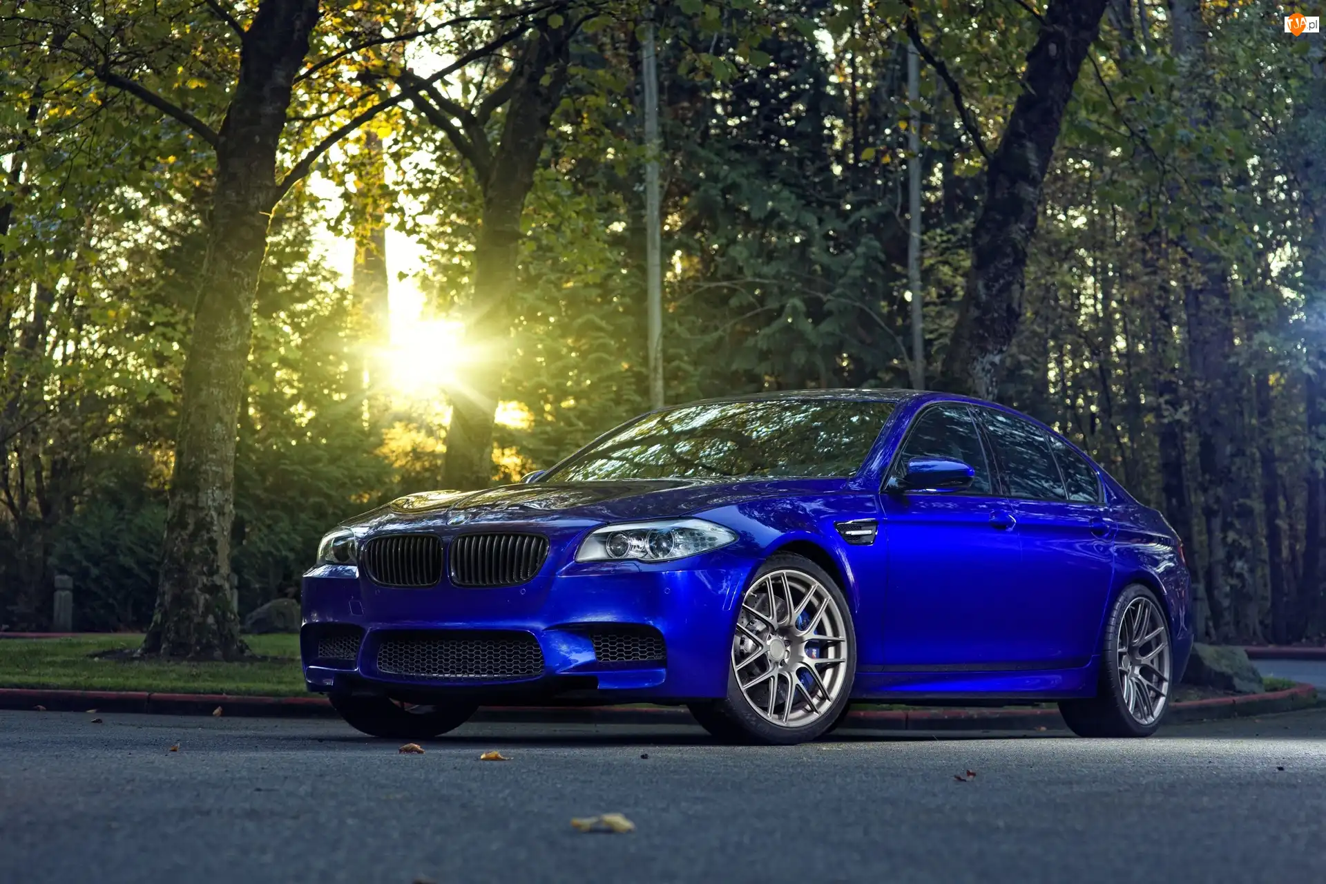 Słońca, BMW, Promienie, Las, Niebieskie