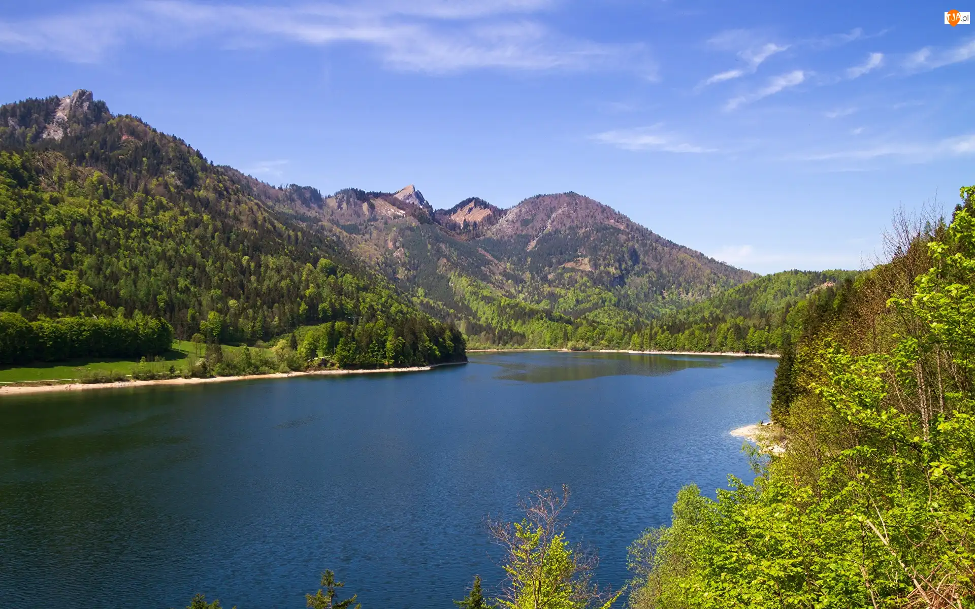 Lasy, Austria, Jezioro Schwarzensee, Góry, Drzewa