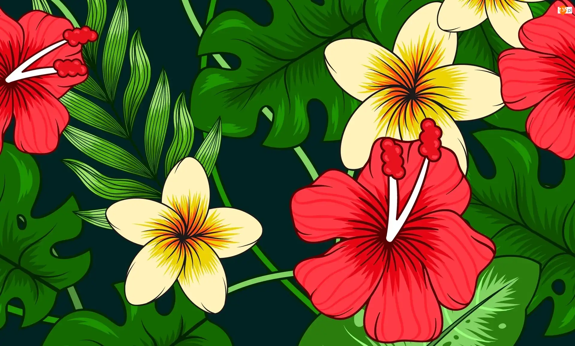 Liście, Kwiaty, Plumerie, Hibiskusy