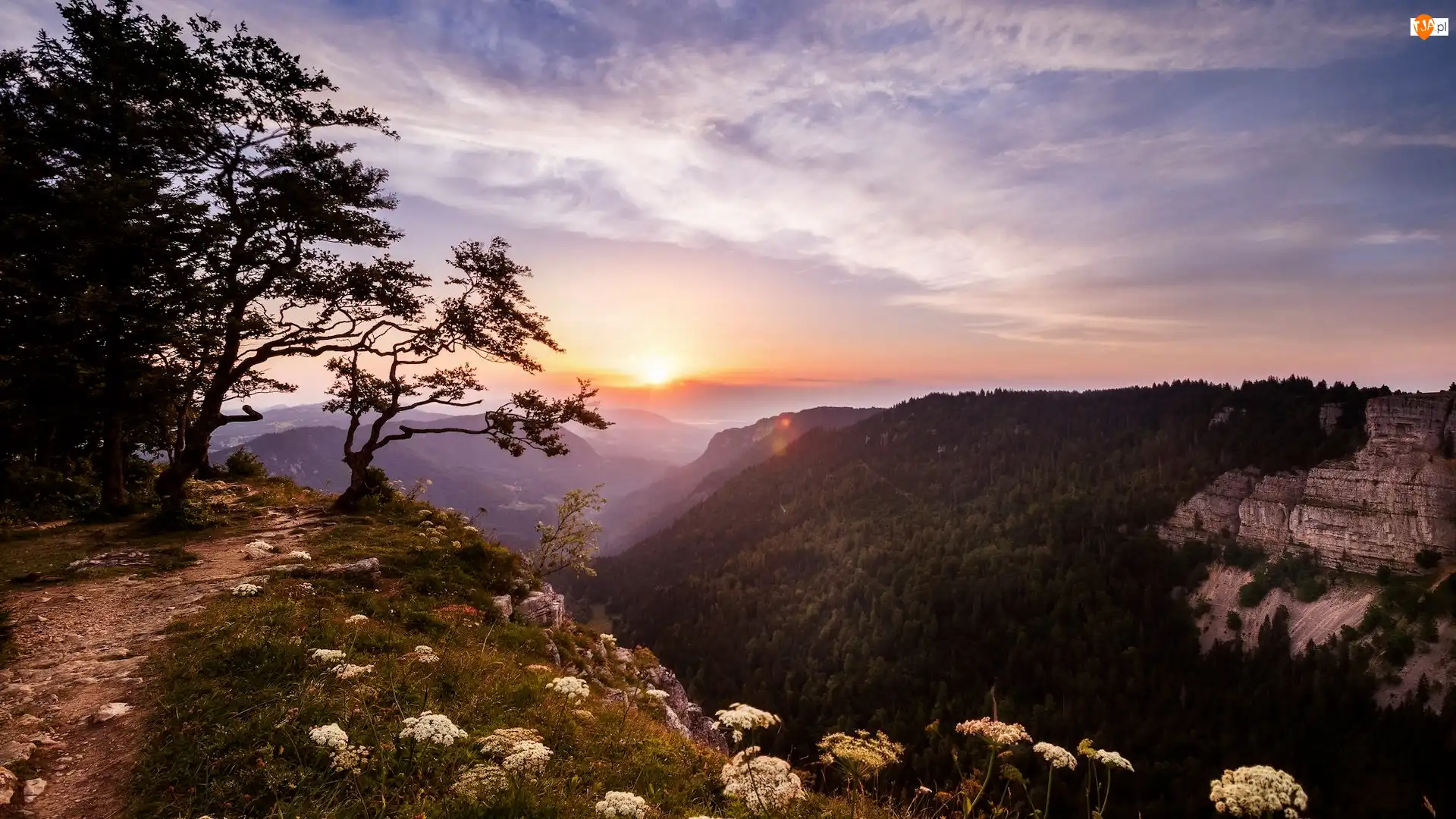 Neuchatel, Creux du Van, Roślinność, Szwajcaria, Drzewa, Wschód słońca, Góry Jura