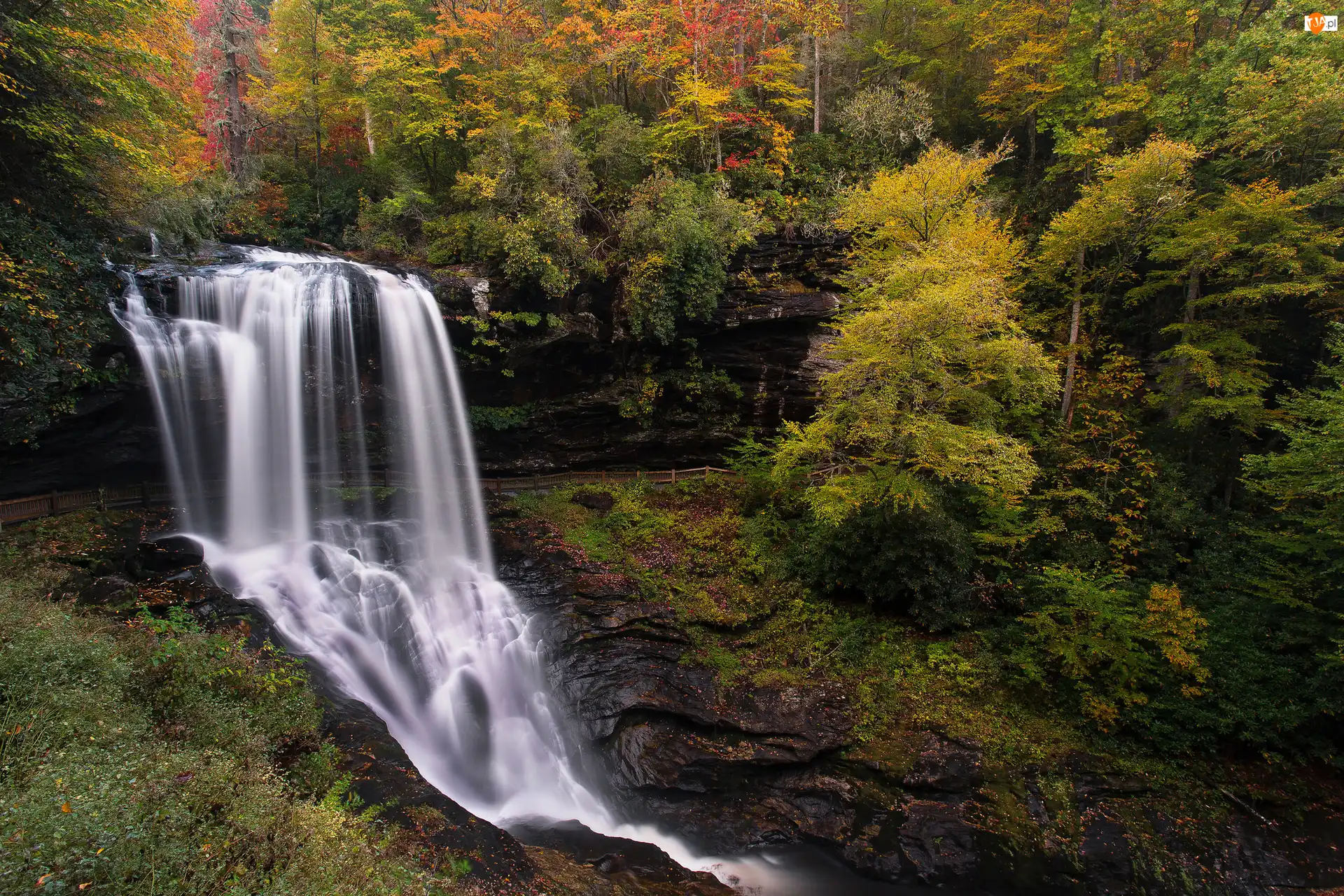 Stany Zjednoczone, Drzewa, Karolina Północna, Rzeka, Cullasaja River, Skały, Wodospad, Las, Dry Falls