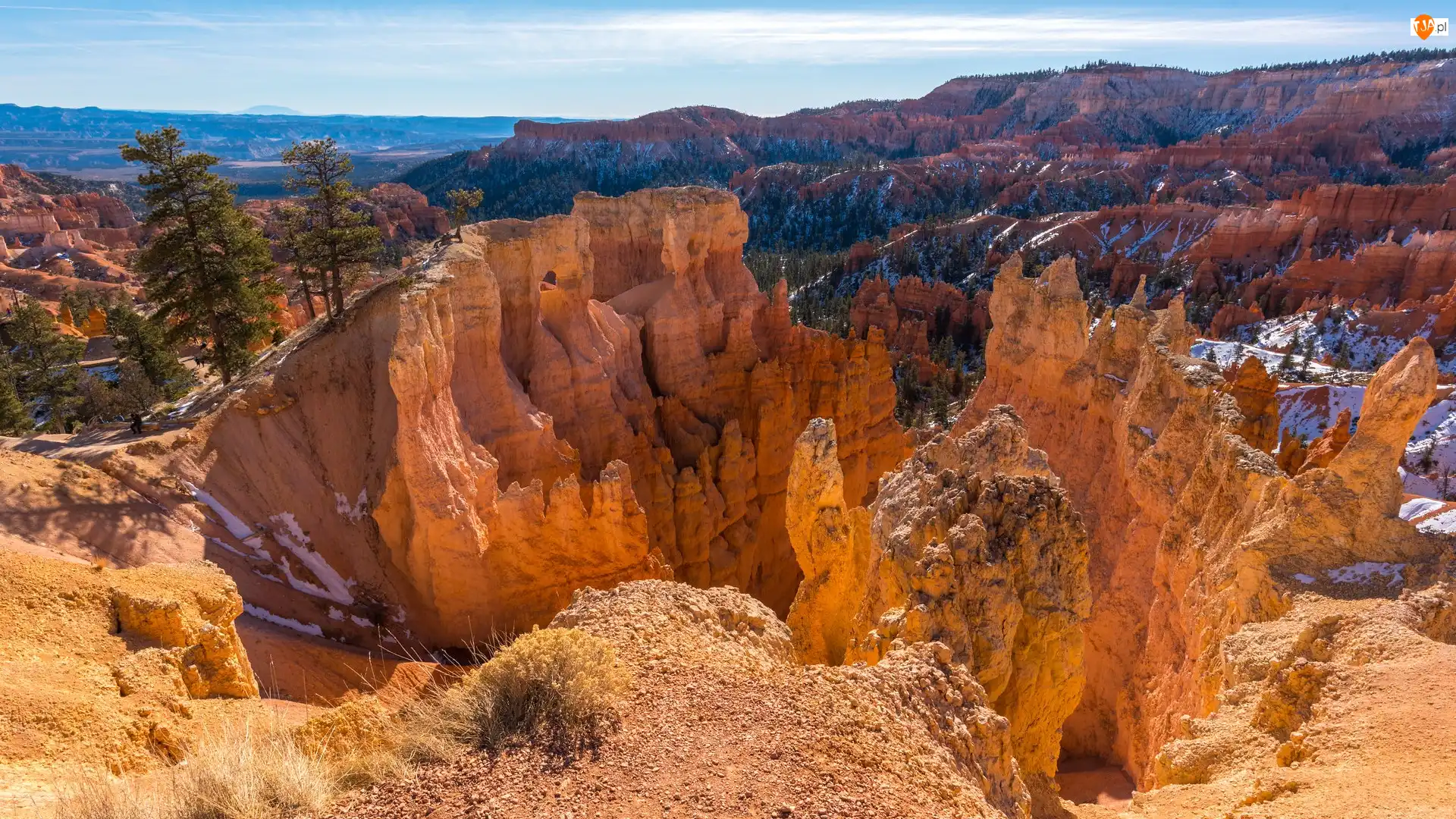 Skały, Kanion, Stany Zjednoczone, Góry, Stan Utah, Park Narodowy Bryce Canyon, Drzewa