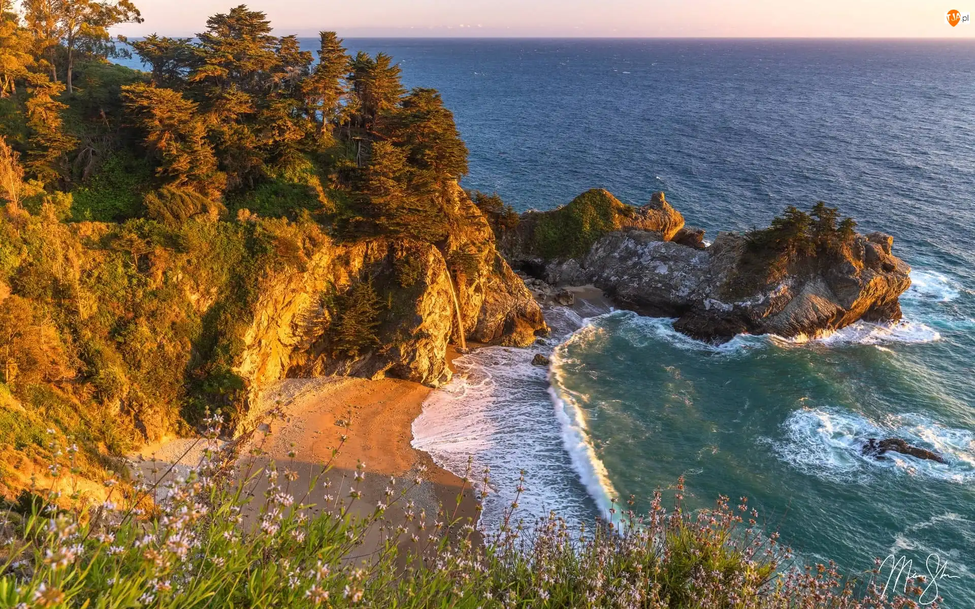 Trawa, Park Stanowy Julia Pfeiffer Burns, Skały, Stany Zjednoczone, Drzewa, Wybrzeże Big Sur, McWay Falls, Plaża, Wodospad, Morze, Zatoka, Kalifornia