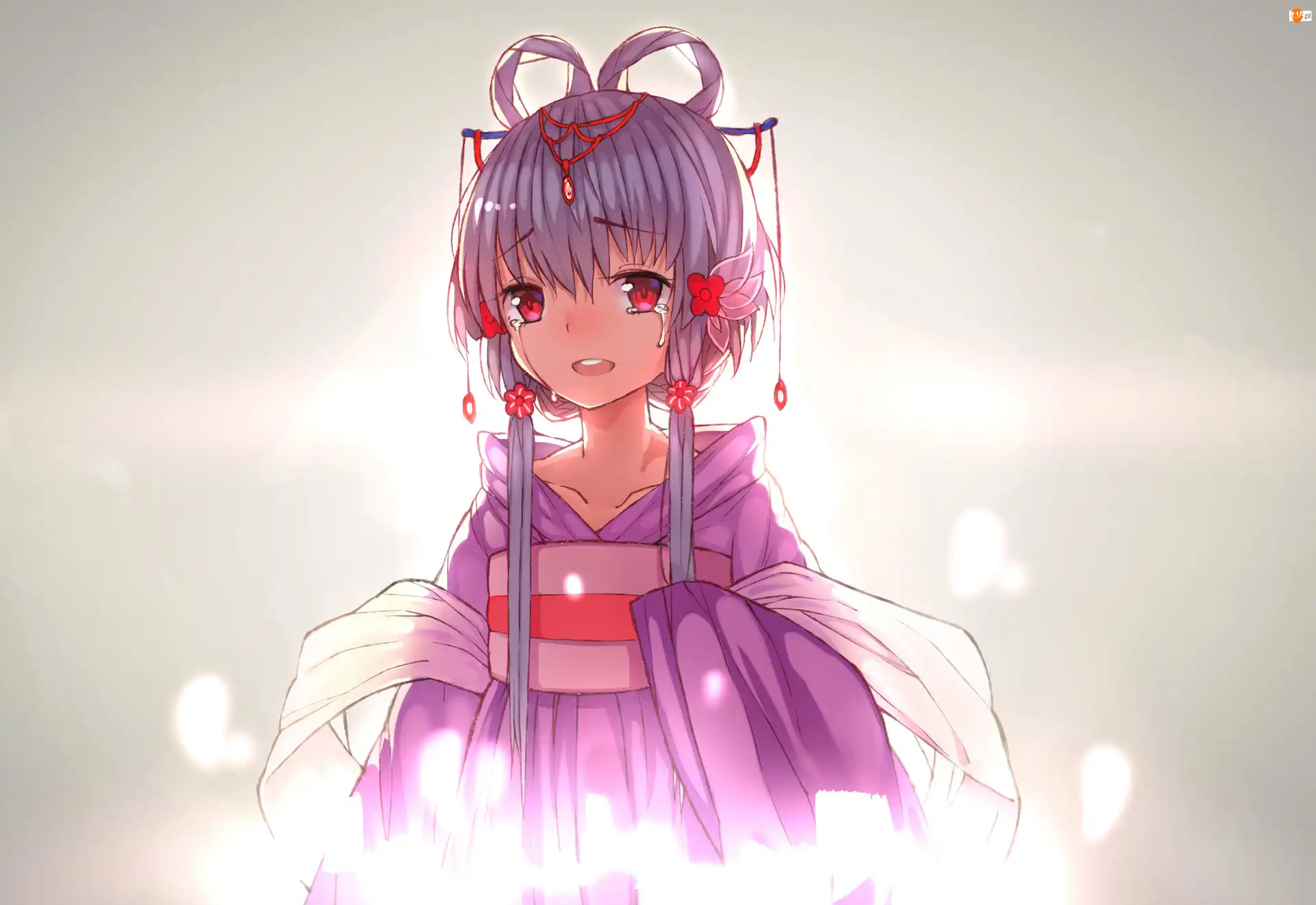 Luo Tianyi, Vocaloid