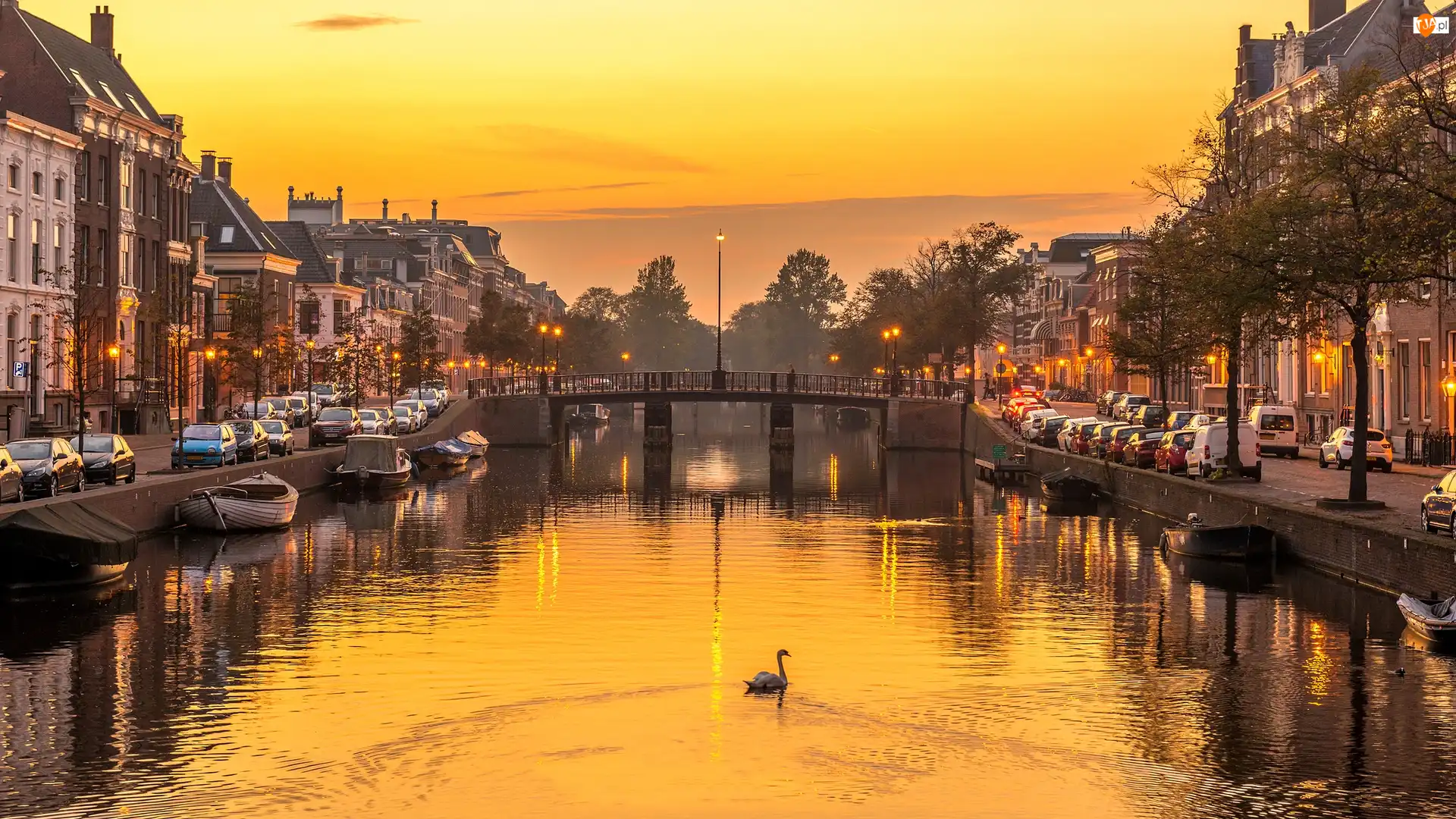 Haarlem, Holandia, Kanał Nieuwe Gracht, Mostek, Rzeka Spaarne, Domy