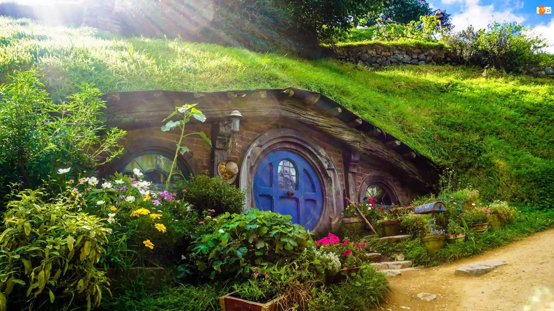 Hobbit, Plan filmowy, Ogródek, Miejscowość Matamata, Hobbiton, Dom, Nowa Zelandia, Atrakcja turystyczna