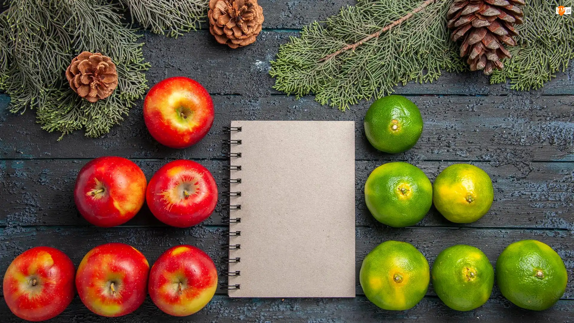 Notes, Gałązki, Limonki, Jabłka, Szyszki