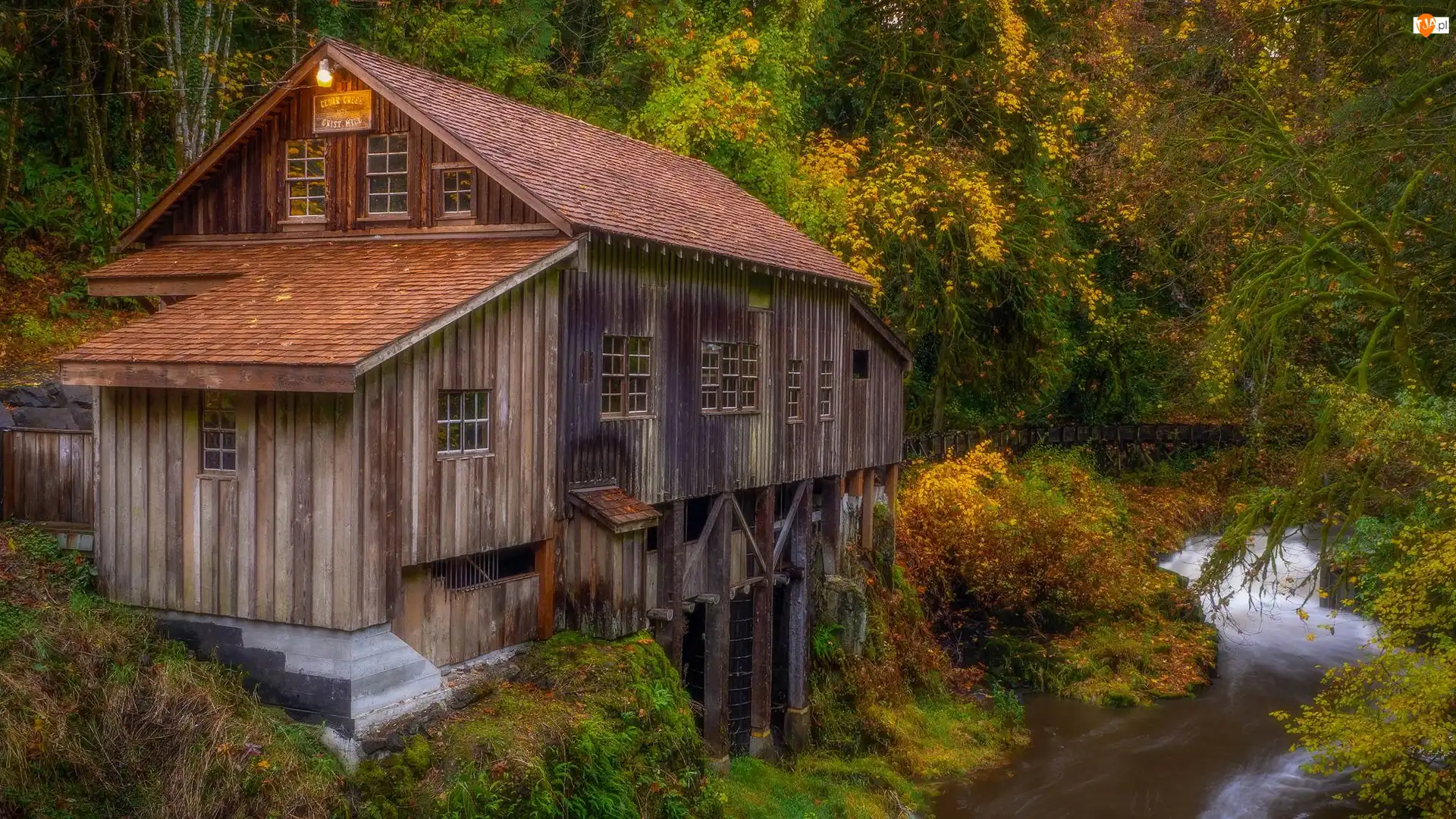 Woodland, Młyn, Las, Stan Waszyngton, Cedar Creek Grist Mill, Drzewa, Stany Zjednoczone, Rzeka