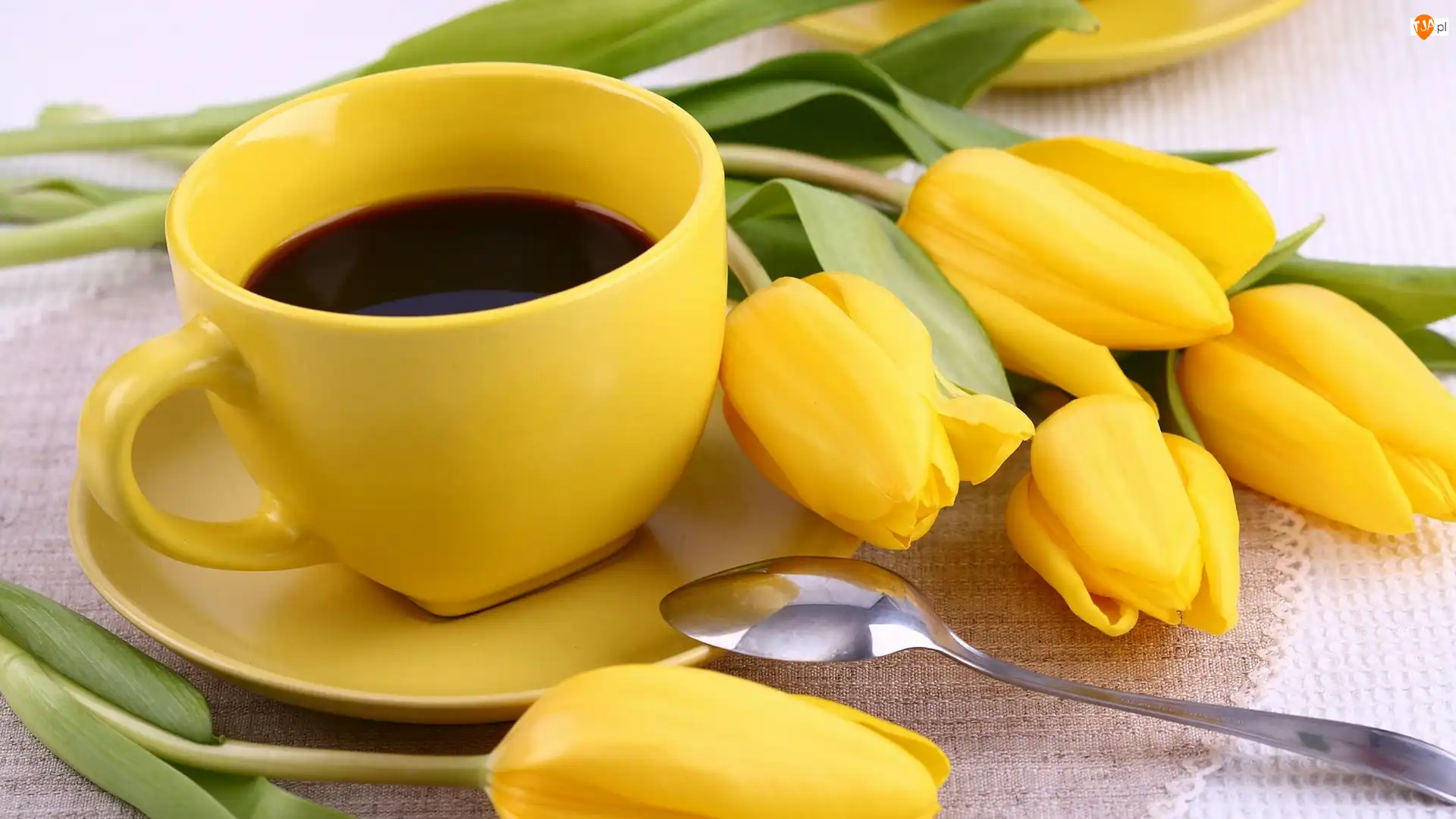 Tulipany, Żółta, Łyżeczka, Żółte, Kawa, Spodek, Filiżanka