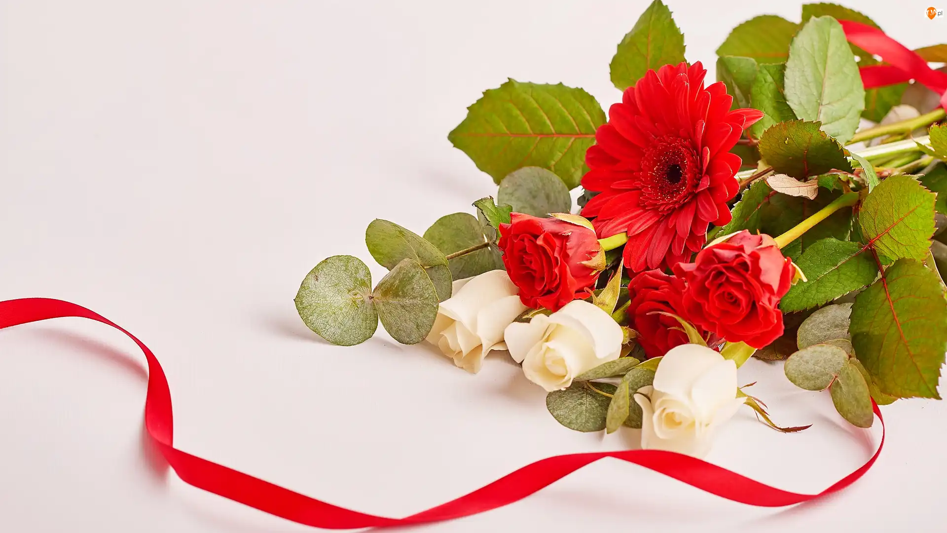 Liście, Wstążka, Gerbera, Róże, Wiązanka