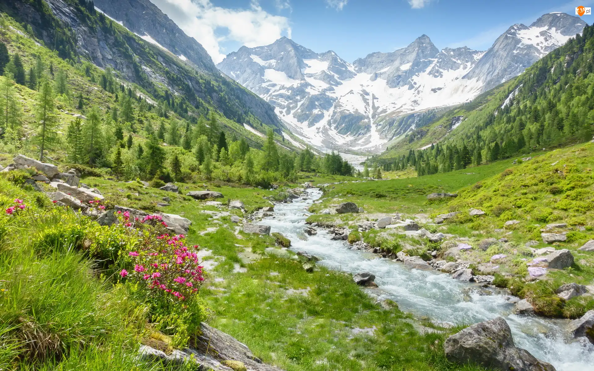 Drzewa, Góry, Rzeka Ziller, Powiat Schwaz, Alpy, Kwiaty, Austria, Dolina Zillertal