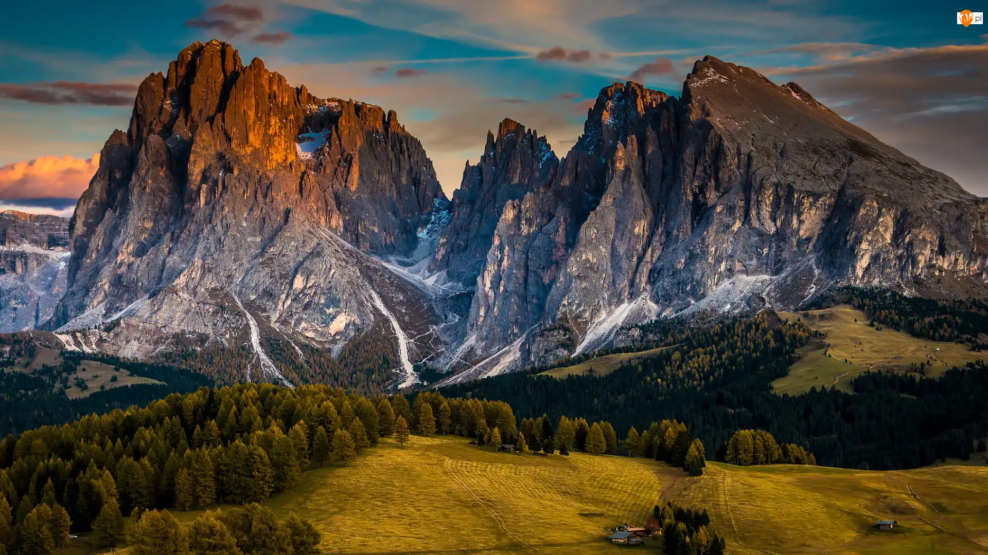 Góry Sassolungo, Dolomity, Dolina Val Gardena, Włochy, Płaskowyż Seiser Alm, Drzewa