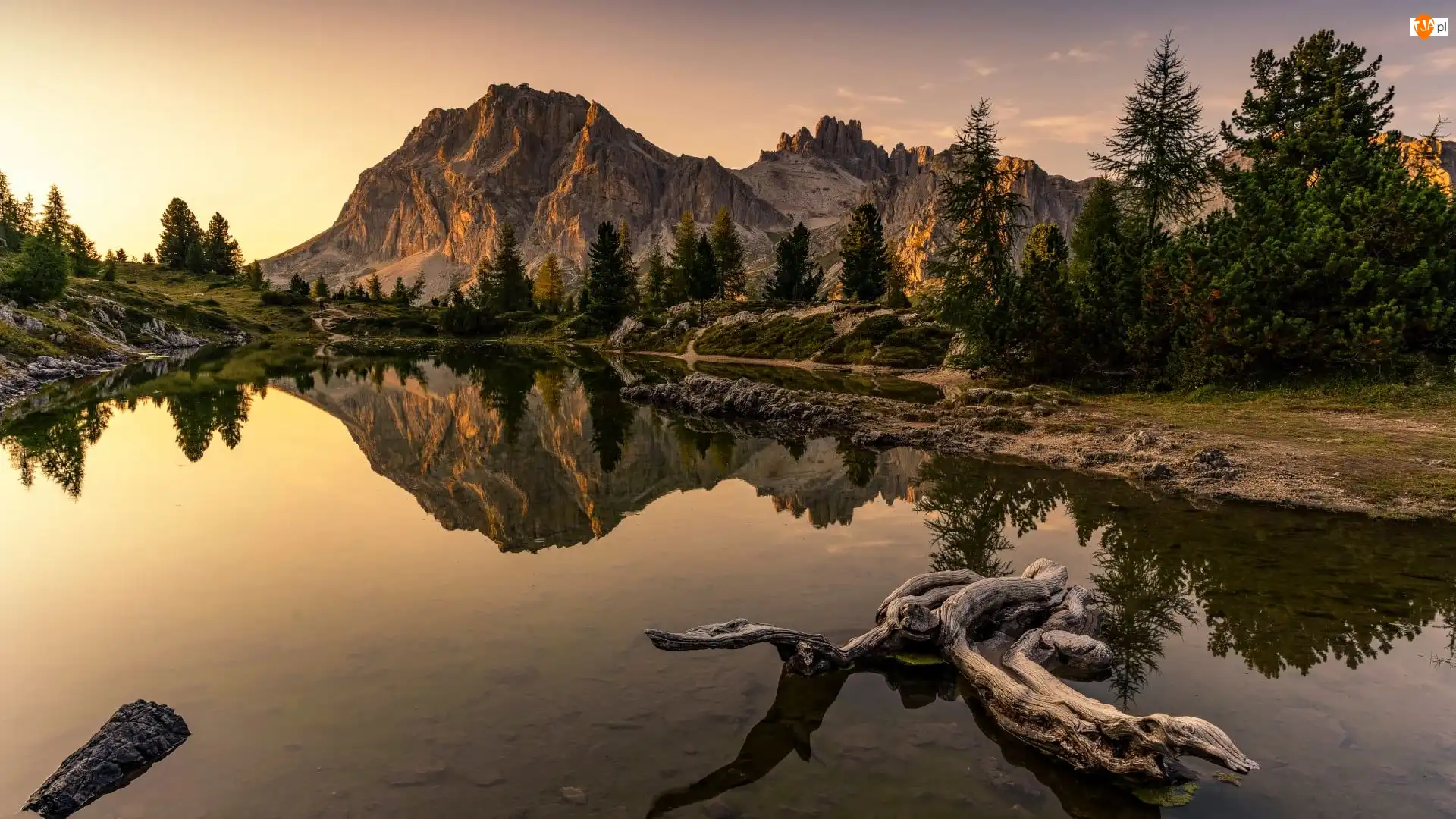 Góry, Dolomity, Konar, Włochy, Drzewa, Lago Limides, Jezioro
