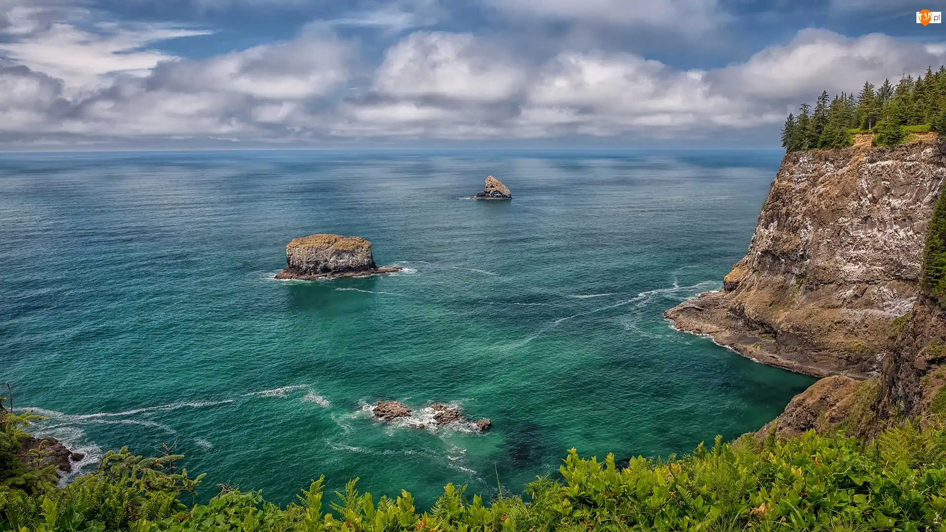 Przylądek Meares, Wybrzeże, Roślinność, Oregon, Morze, Park Stanowy Cape Meares, Stany Zjednoczone, Skały