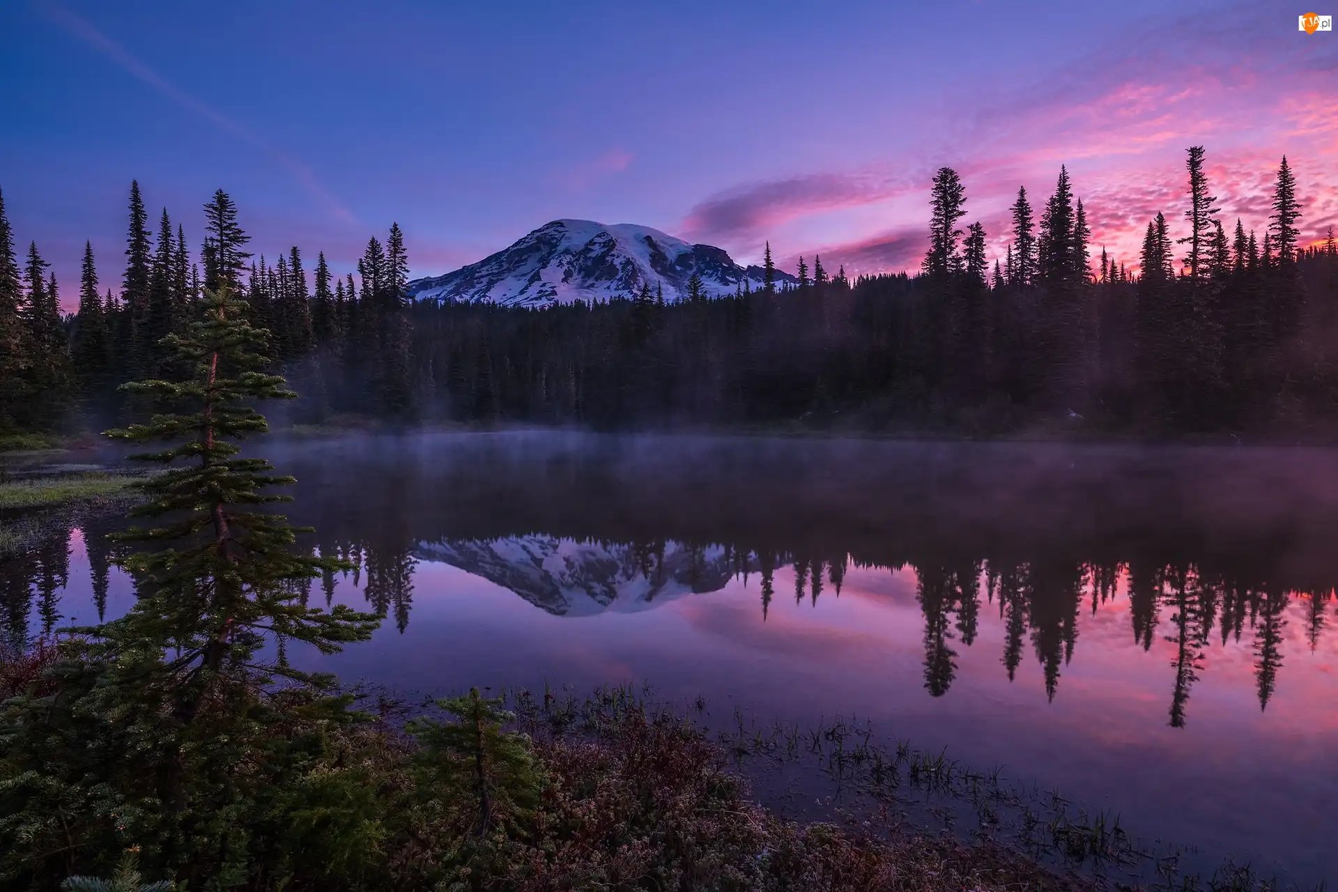 Stany Zjednoczone, Drzewa, Las, Wschód słońca, Jezioro Reflection Lake, Park Narodowy Mount Rainier, Szczyt Mount Rainier, Góra, Mgła, Stan Waszyngton