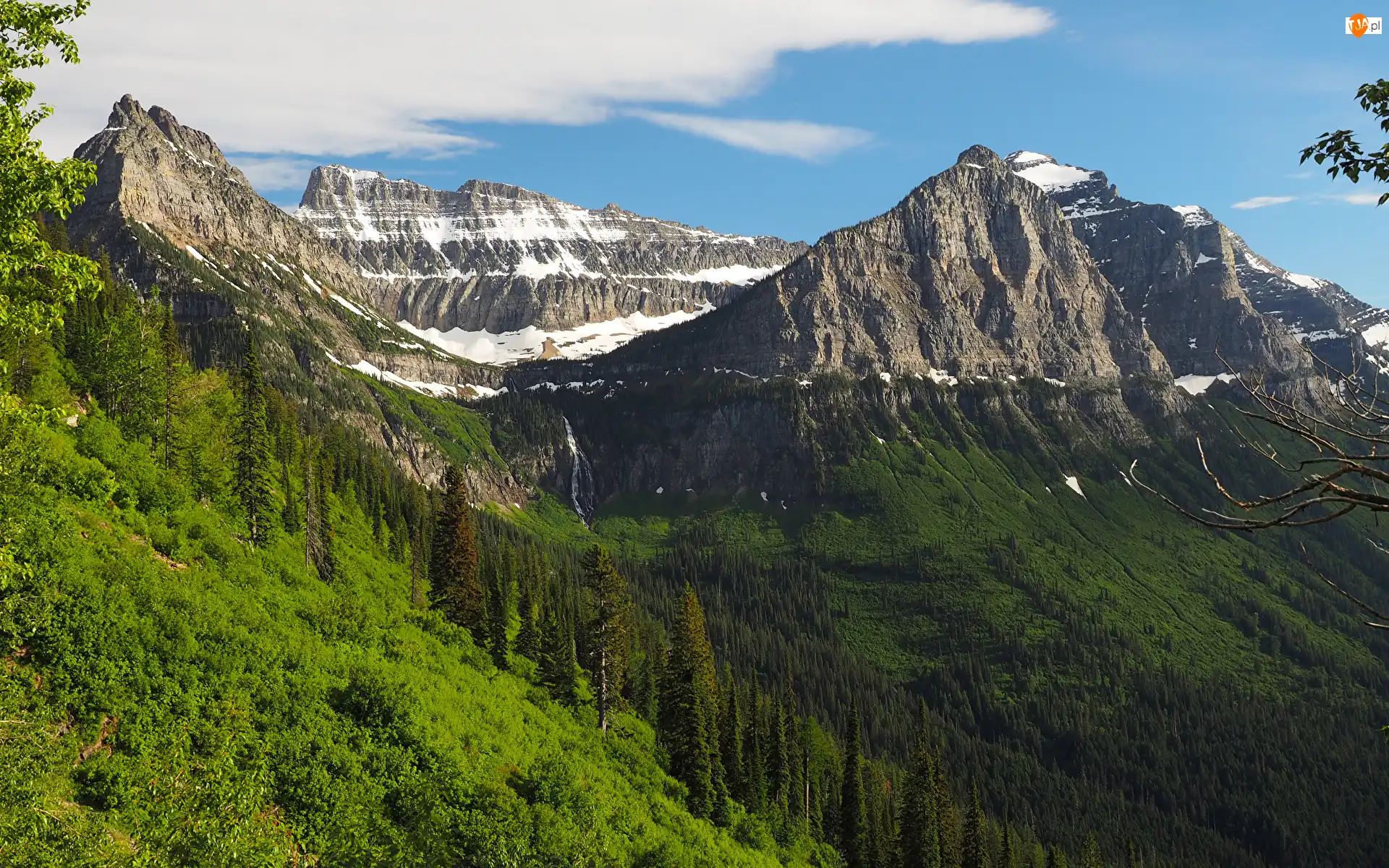 Park Narodowy Glacier, Stany Zjednoczone, Lasy, Góry Skaliste, Montana