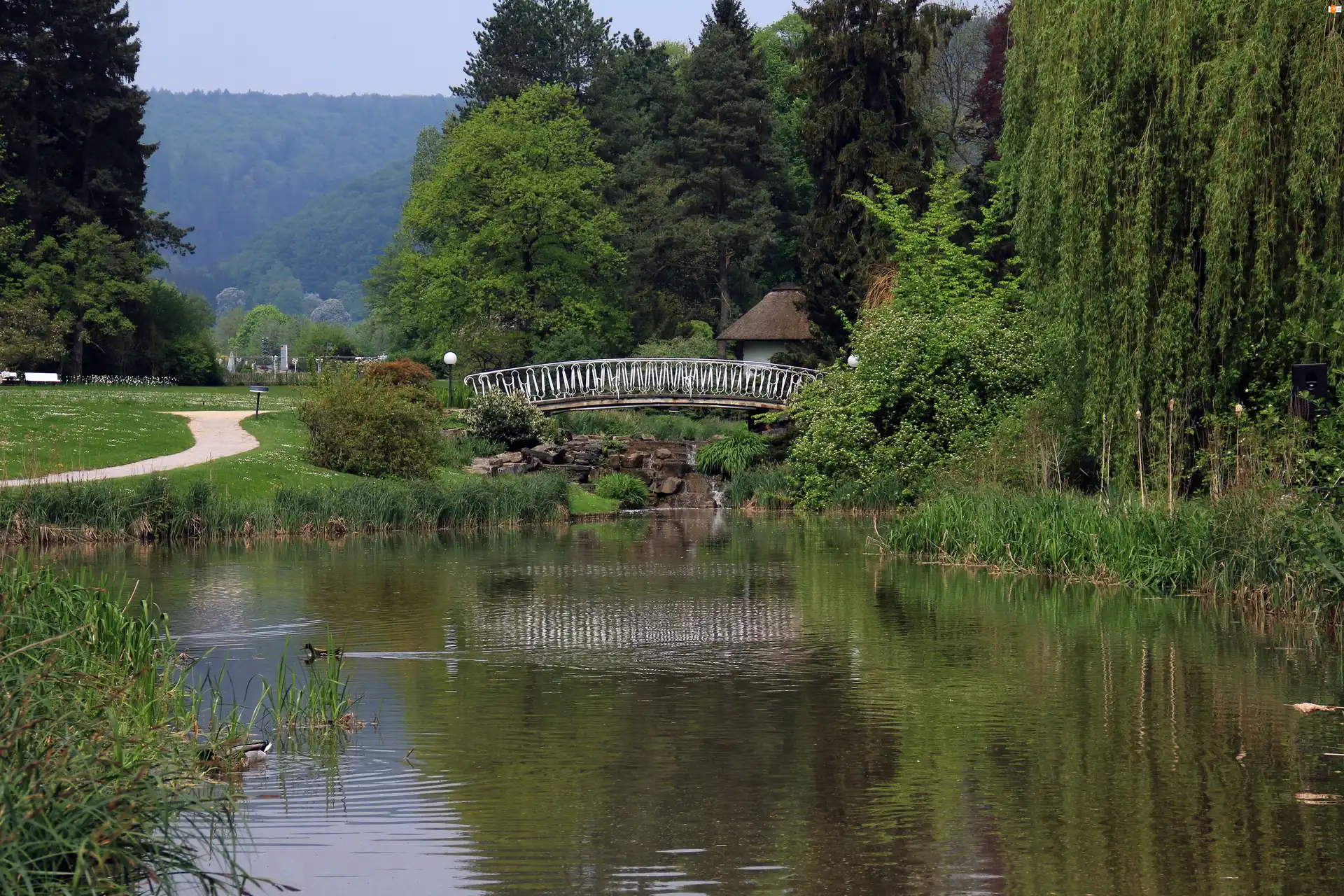 Wierzba, Park, Staw, Mostek