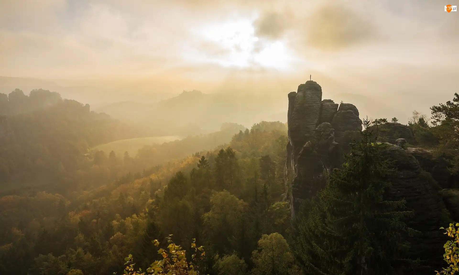 Góry Połabskie, Park Narodowy Saskiej Szwajcarii, Mgła, Niemcy, Drzewa, Skały, Formacja skalna Bastei