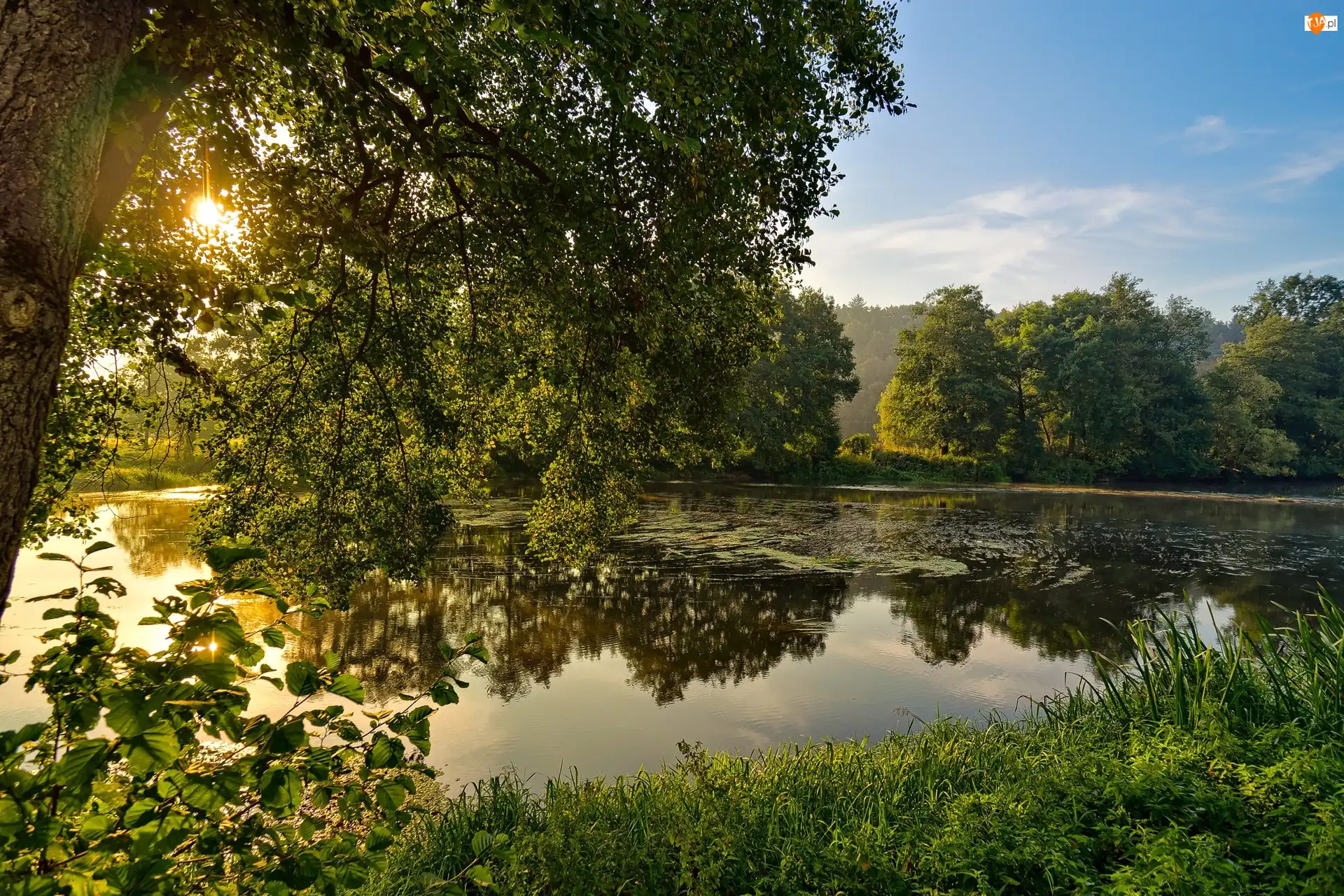 Wschód słońca, Rzeka, Drzewa