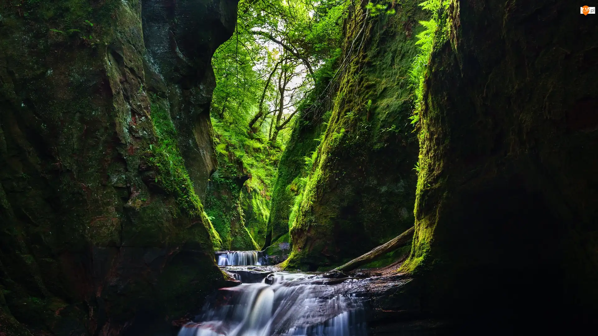 Rzeka Carnock Burn, Szkocja, Wąwóz Finnich Glen, Szkocja, Stirling