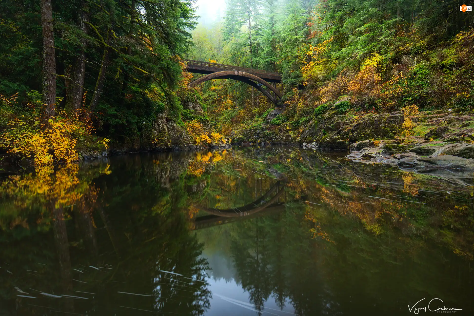 Rzeka Lewis River, Las, Skały, Stany Zjednoczone, Most Moulton Falls Bridge, Stan Waszyngton