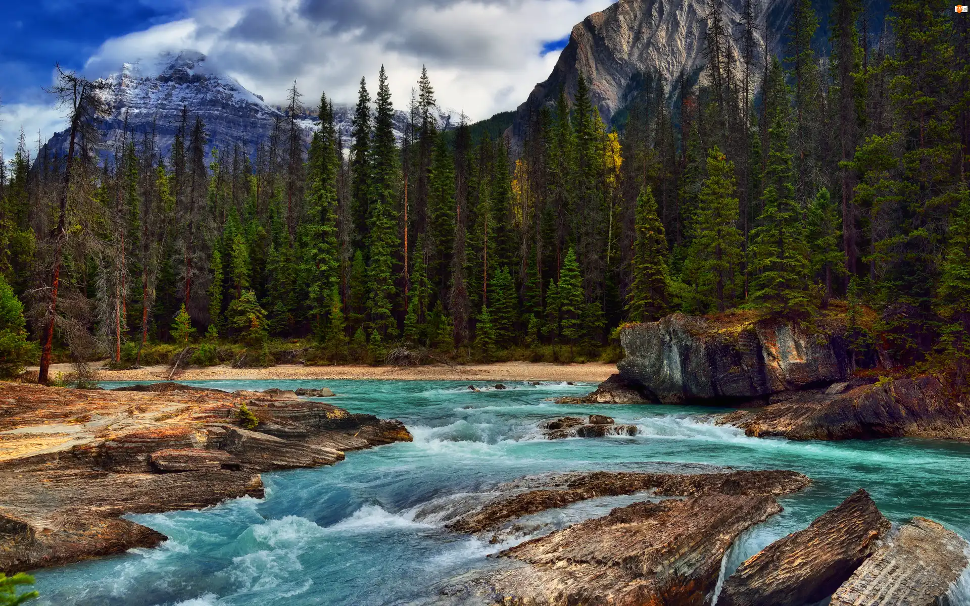 Kanada, Drzewa, Kolumbia Brytyjska, Park Narodowy Yoho, Chmury, Rzeka, Kicking Horse River, Góry, Skały