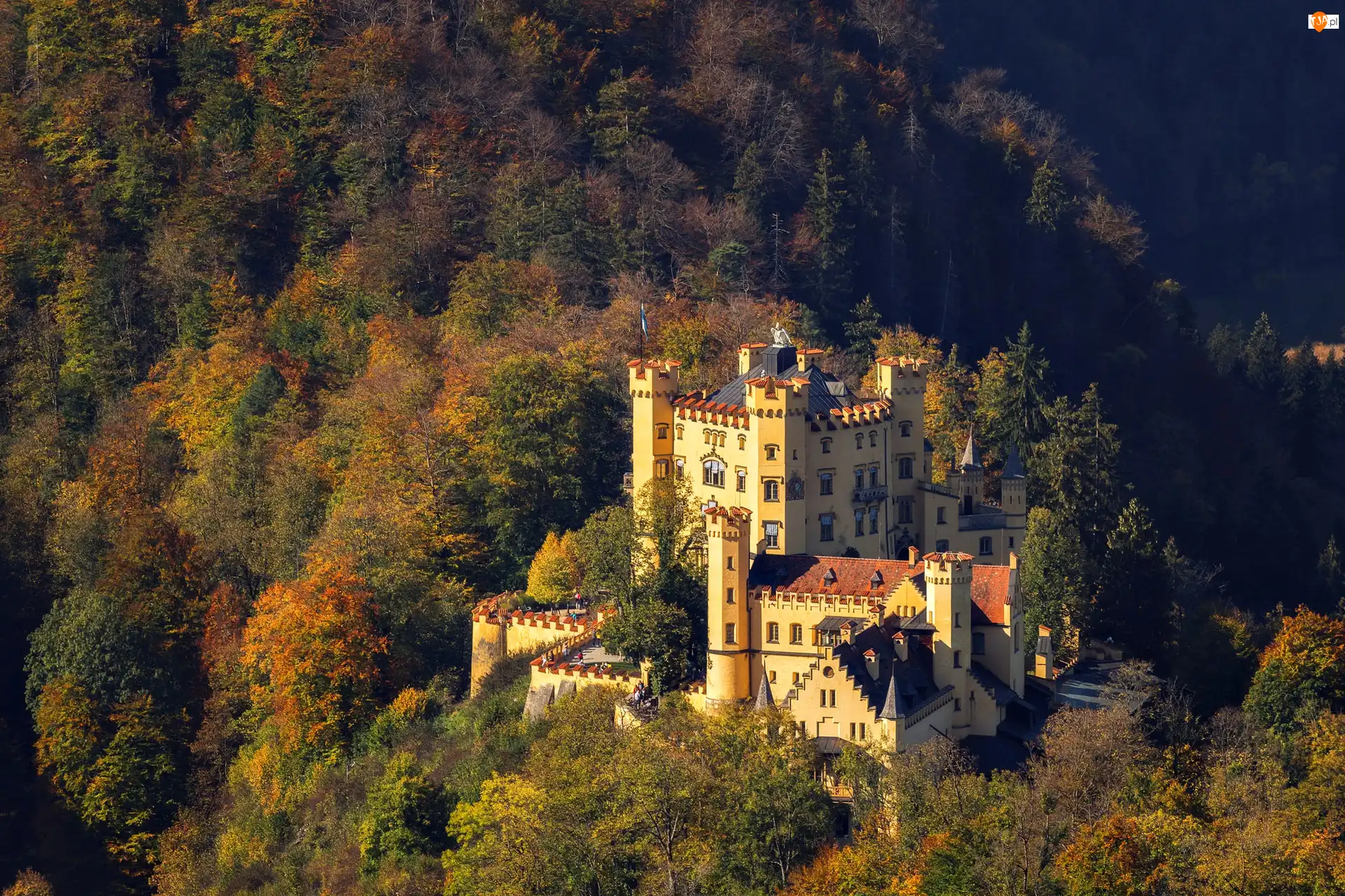 Las, Zamek Hohenschwangau, Bawaria, Bawaria, Gmina Schwangau, Niemcy