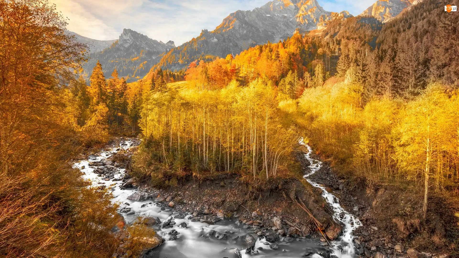 Rzeka, Jesień, Drzewa, Grindelwald, Góry, Kamienie, Szwajcaria, Żółte