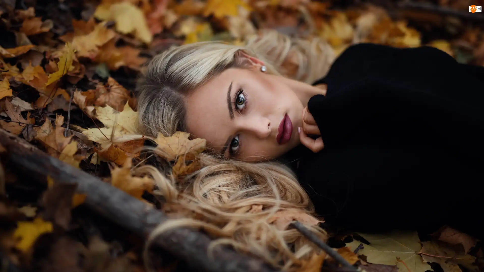 Liście, Kobieta, Blondynka