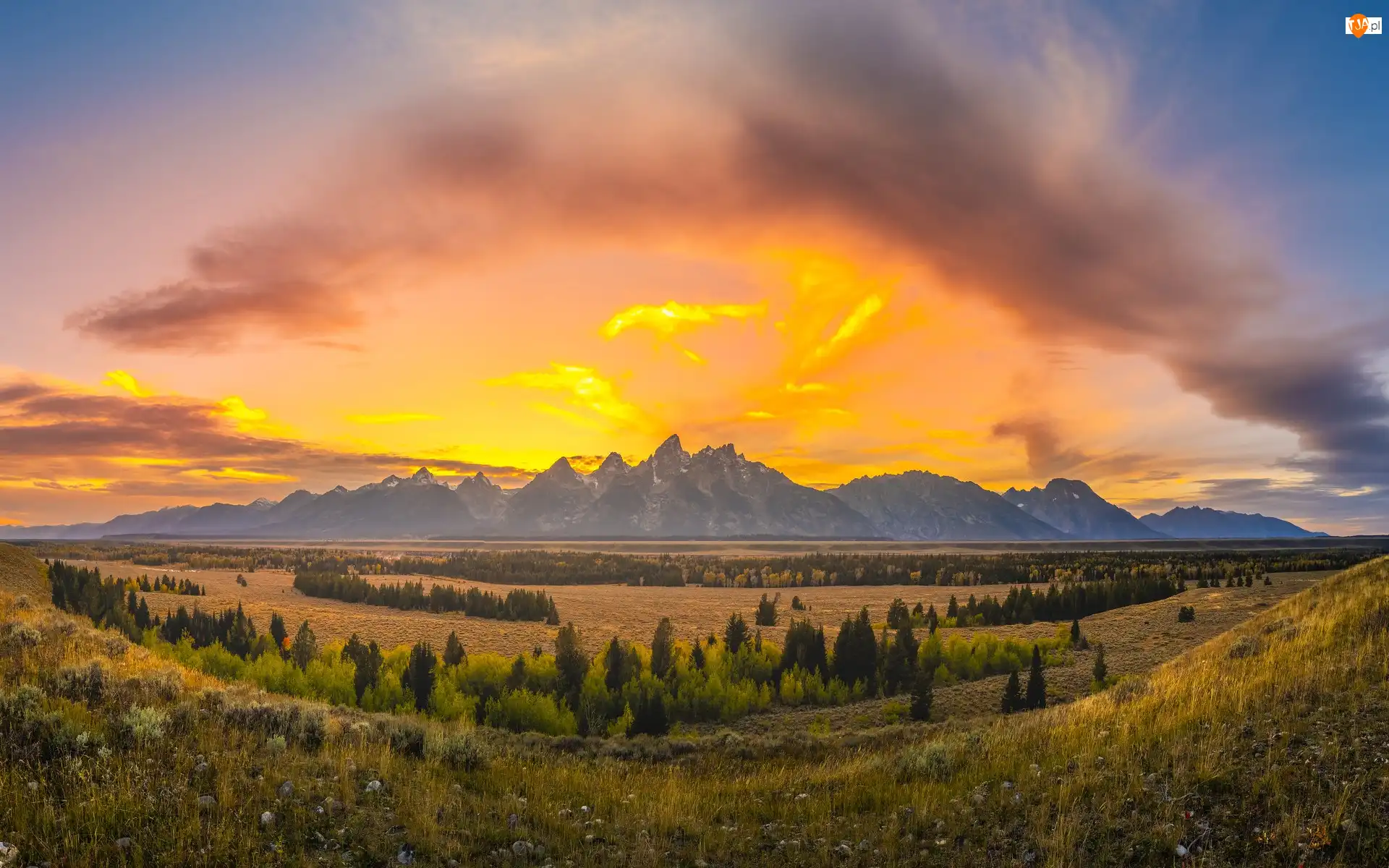 Zachód słońca, Park Narodowy Grand Teton, Pole, Stan Wyoming, Góry, Drzewa, Stany Zjednoczone, Teton Range