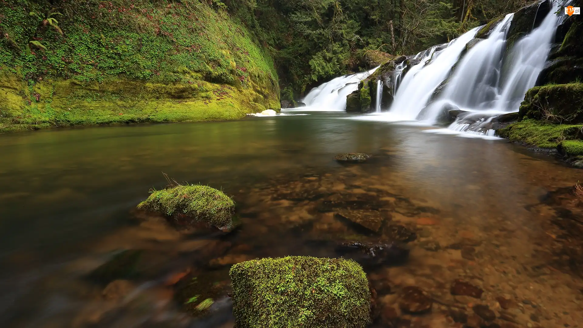 Kamienie, Wodospad, Rośliny, Omszałe
