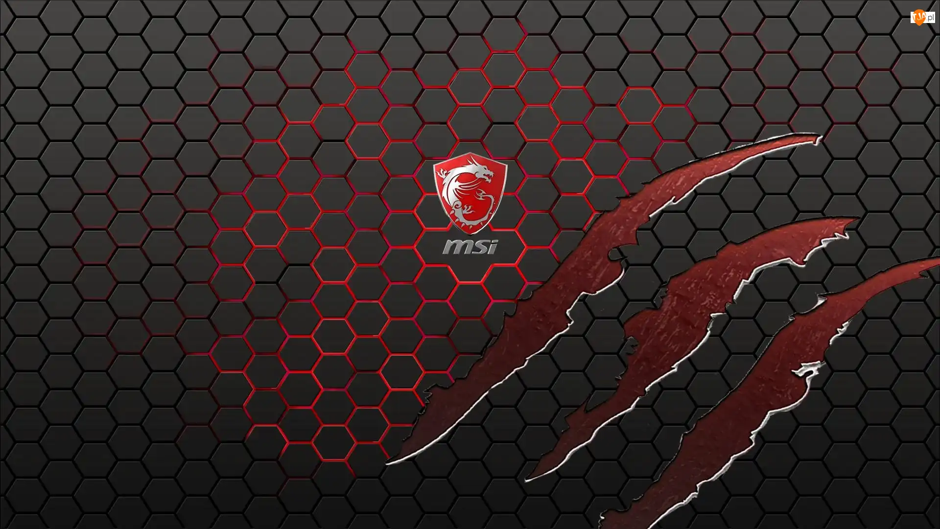 MSI