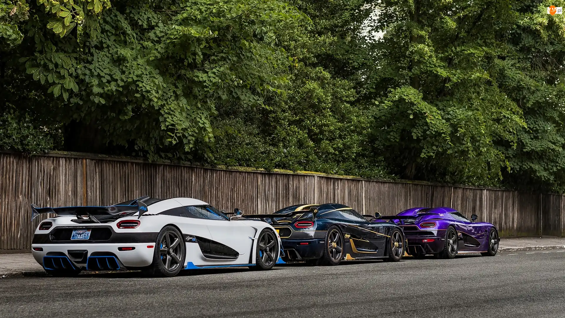 Drzewa, Koenigsegg Agera R, Płot
