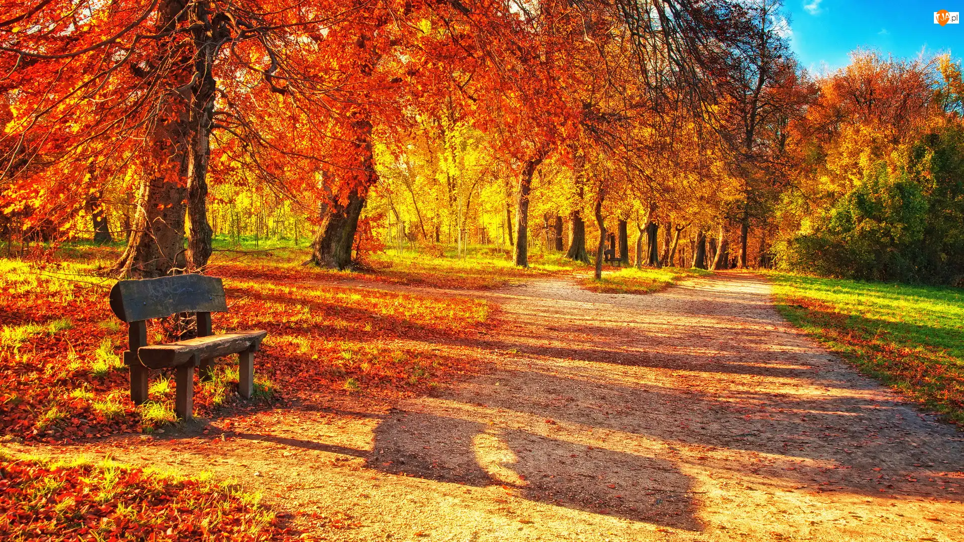Ławka, Jesień, Park