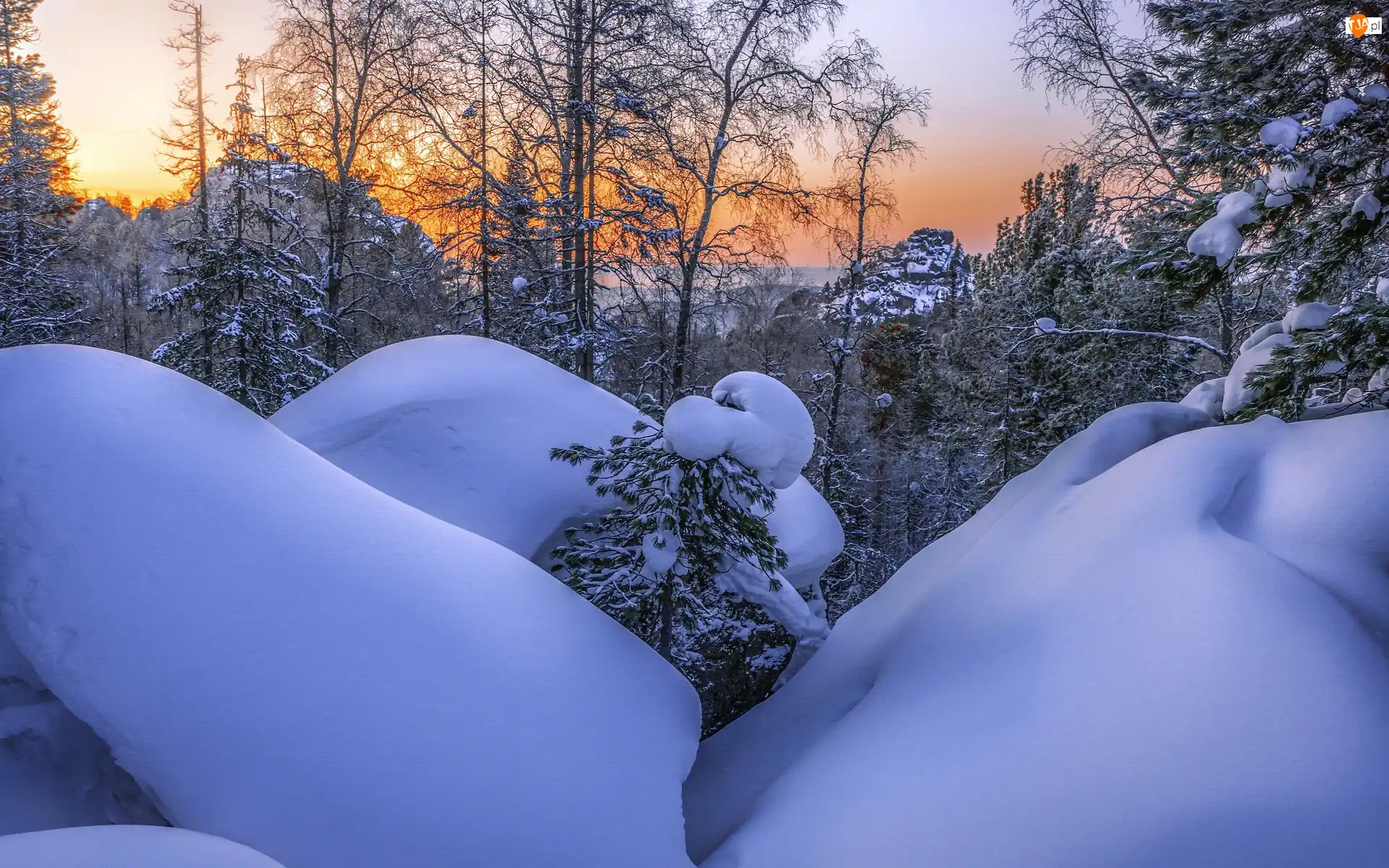 Śnieg, Zachód słońca, Drzewa, Zima, Zaspy
