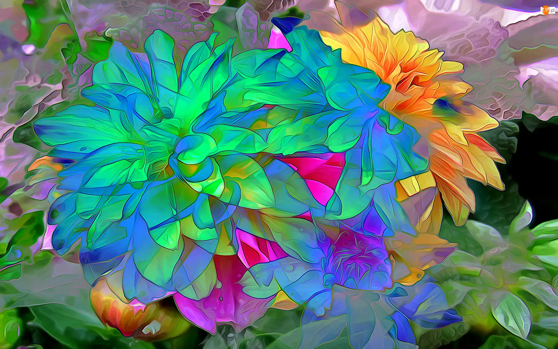 Fractalius, Kwiaty, Kolorowe