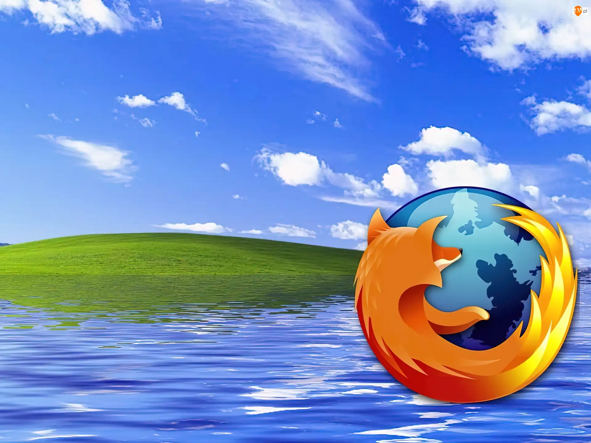 woda, chmury, FireFox, łąka, ziemia, lis, niebo