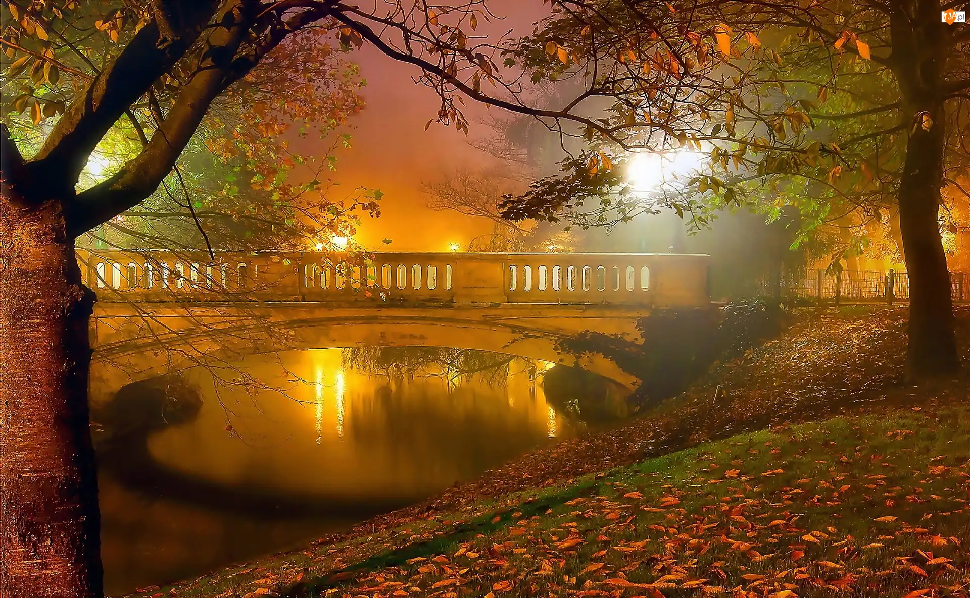 Mostek, Jesień, Rzeczka, Drzewa, Park, Most, Liście, Mgła