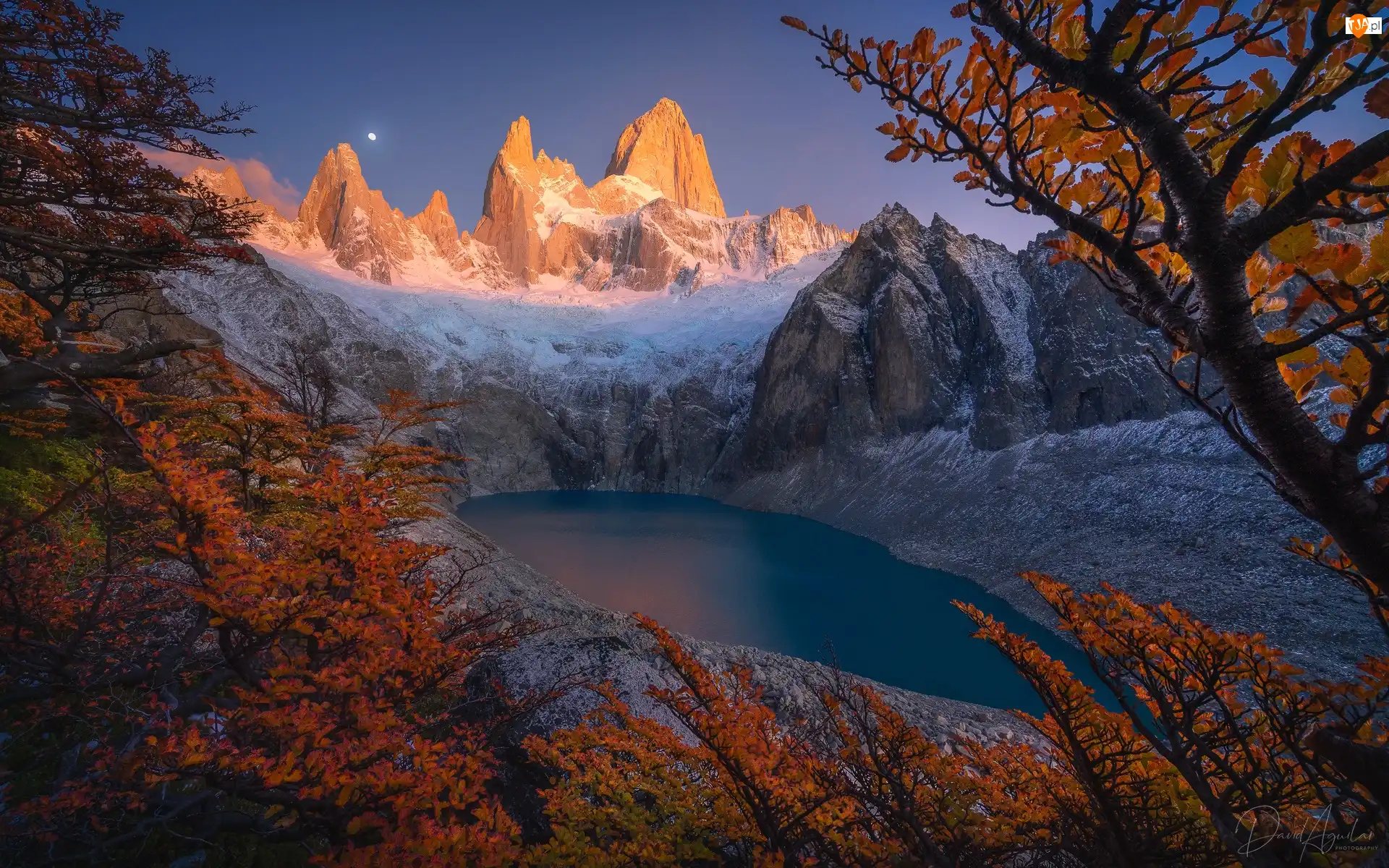 Patagonia, Góry, Drzewa, Argentyna, Jezioro, Fitz Roy, Szczyt