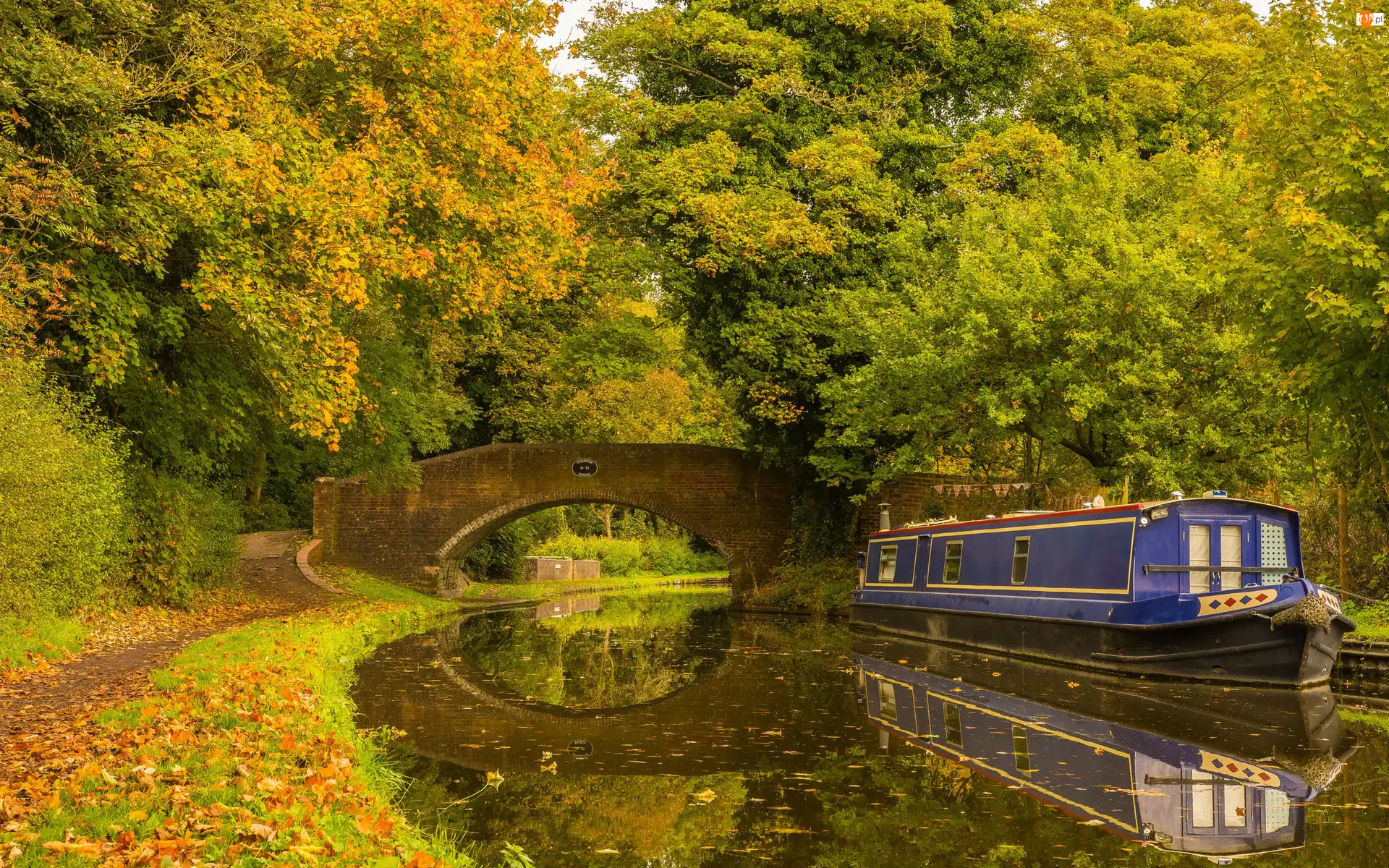 Park, Most, Kanał, Barka, Hrabstwo Worcestershire, Staffordshire and Worcestershire Canal, Drzewa, Anglia, Rzeka, Miasto Kidderminster, Jesień