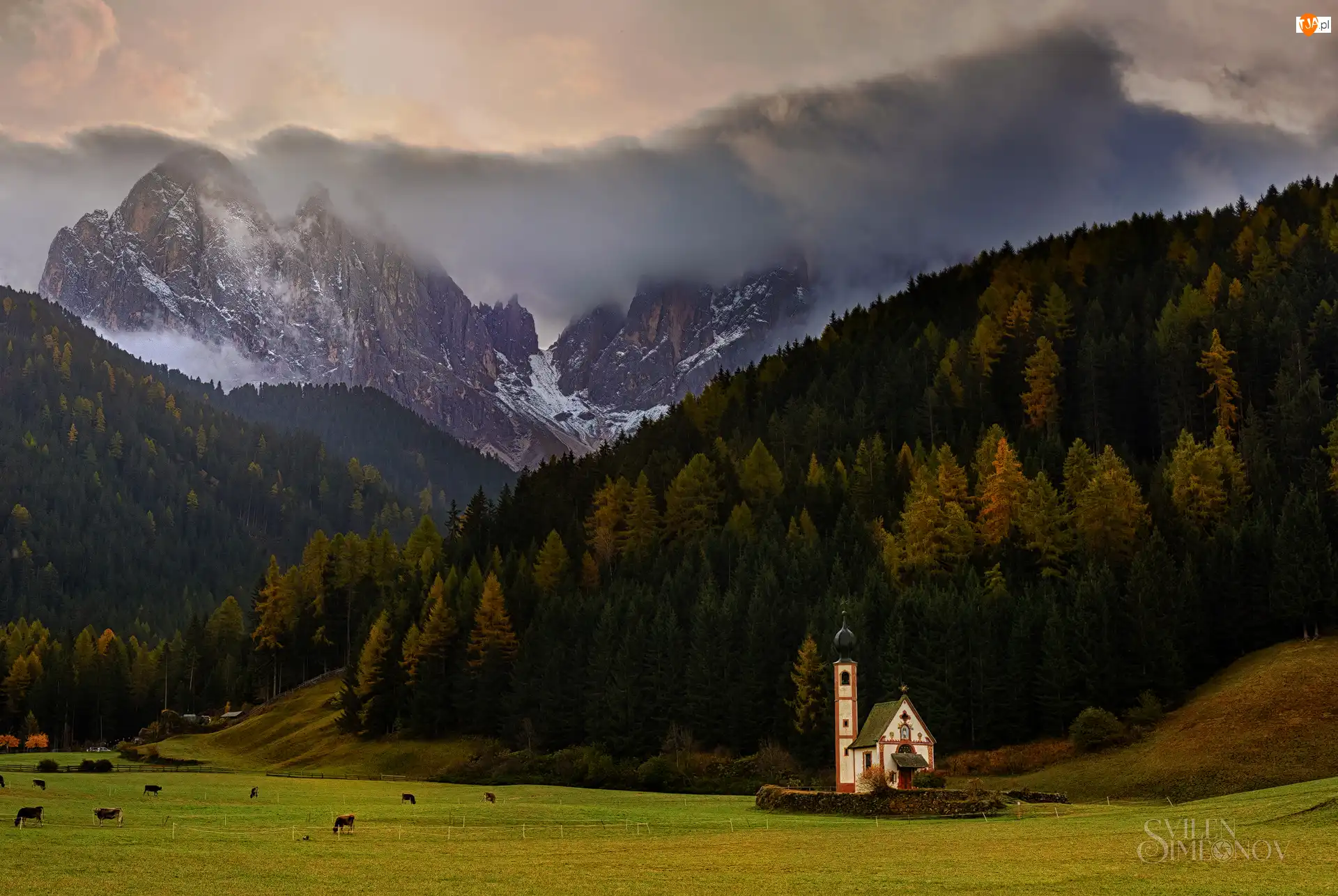 Kościół św. Jana, Dolina Val di Funes, Góry, Włochy, Lasy, Dolomity
